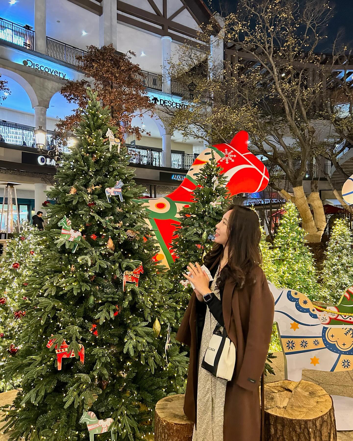 🎄

노는게 제일 좋아✨