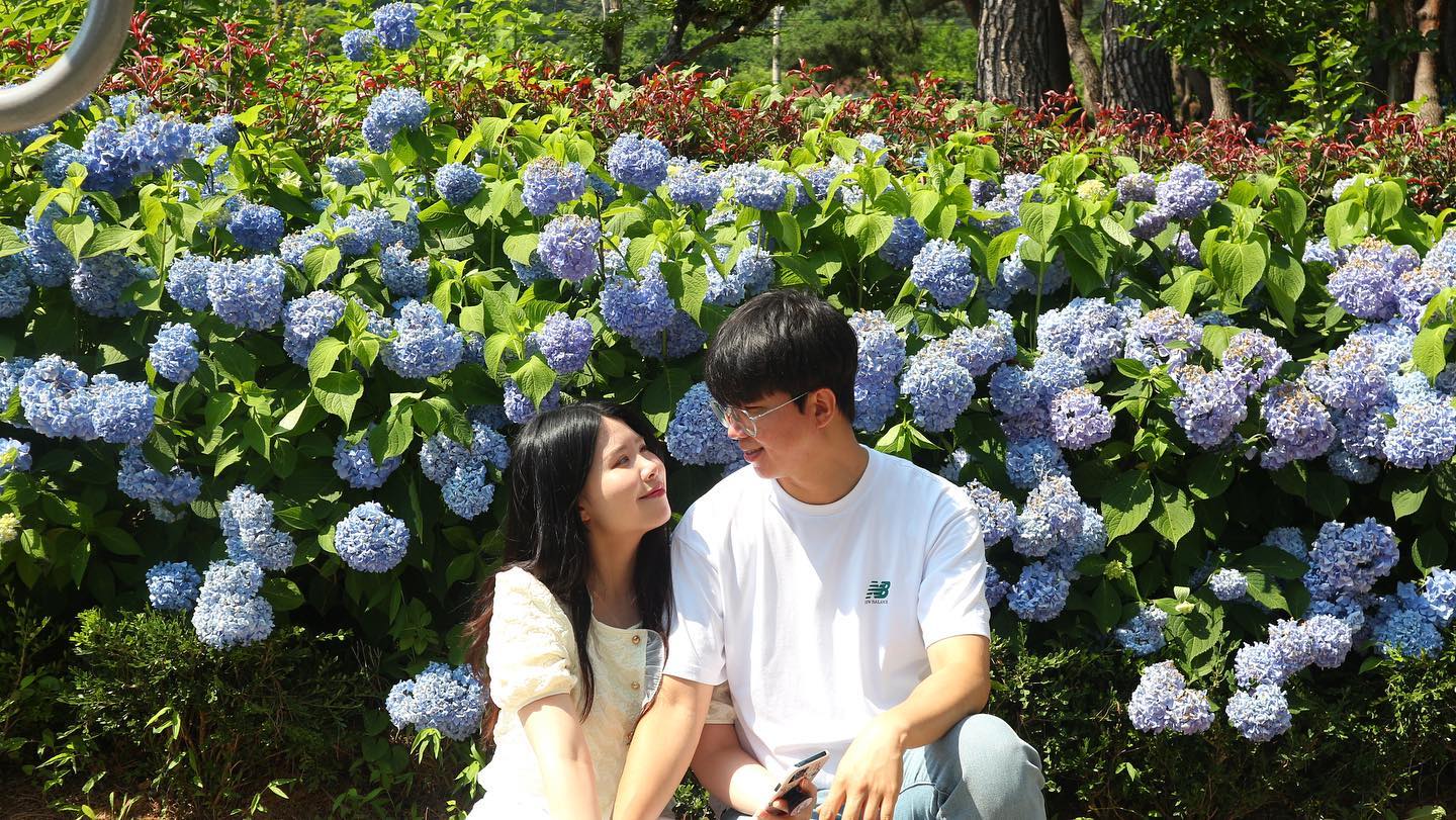 여보랑 저번주 다녀왔던 수국동산💛
뒤늦은 업뎃 
요즘은 꽃구경다니느라 너무 재미땅 🌸💓