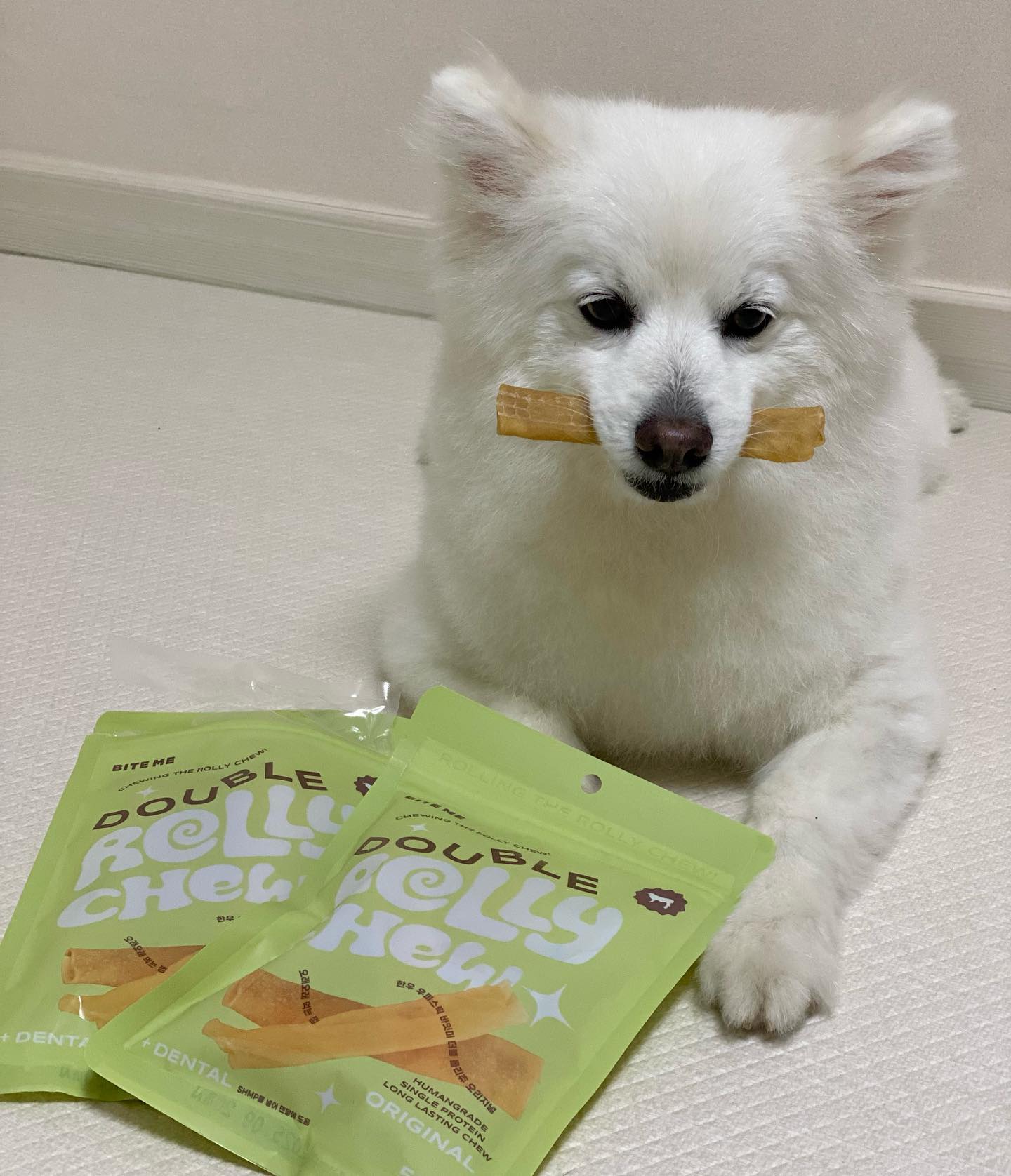 X biteme.co.kr 
한우 암소 우피를 돌돌말아 건조한 더블 롤리츄💚

기존 롤리츄를 금방 먹거나, 
좀 더 오래 먹을 수 있는 간식 찾는 친구들한테 추천🙌🏻

✔️기존 롤리츄보다 2배 큰 우피 사용
✔️잡고 먹기 편한 스틱형
✔️치석 제거 및 스트레스 해소
✔️SHMP를 첨가해 치아 건강에 도움
✔️방부제/표백제/발색제/인공첨가물 무첨가 

석봉이도 입냄새 제거 겸 종종 오래 먹는 간식을 주는데
바잇미 더블 롤리츄도 오래 먹어서 좋아요😋
입냄새는 잡고 스트레스는 풀고!
뭐든 순삭하는 털봉이한테 딱 좋은 간식🫶🏻

#바잇미 #바잇미우피껌 #더블롤리츄 #바잇미식가