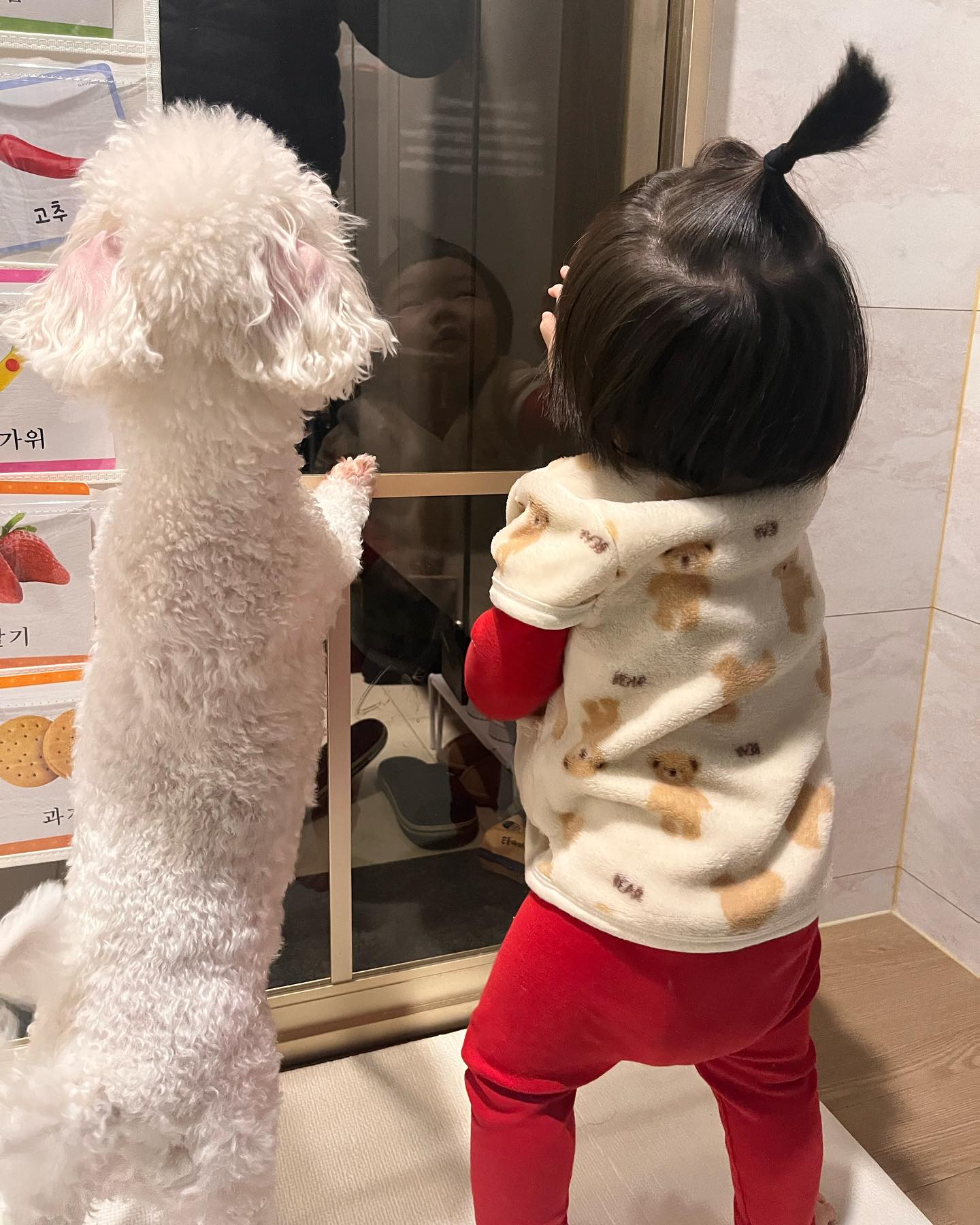 동생이랑 같이반겨줌