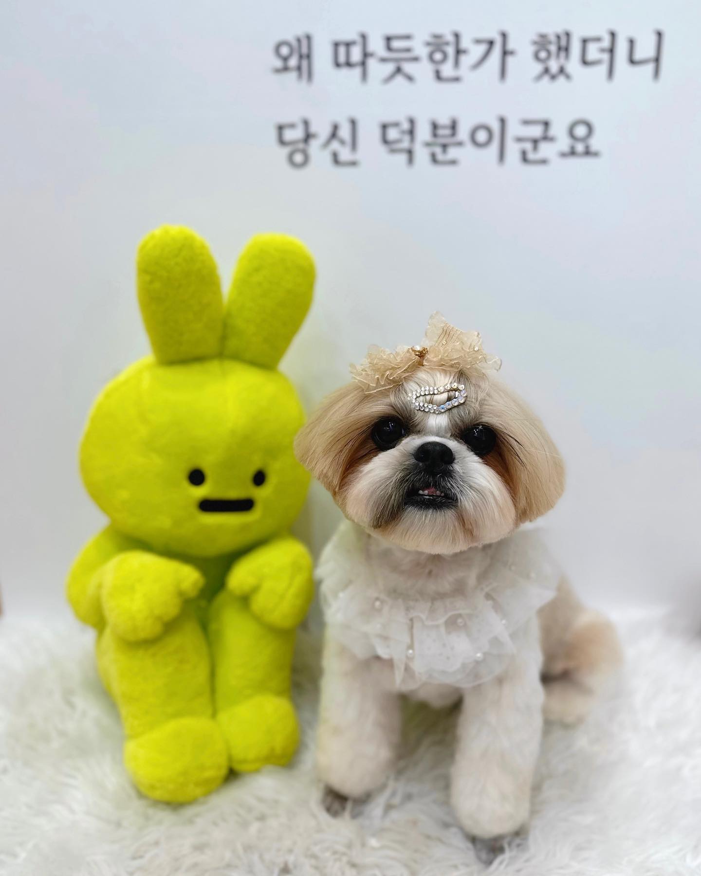 세상예뻐 .. 박찡코 🥺💛💛

#전후차이 
#미쵸따