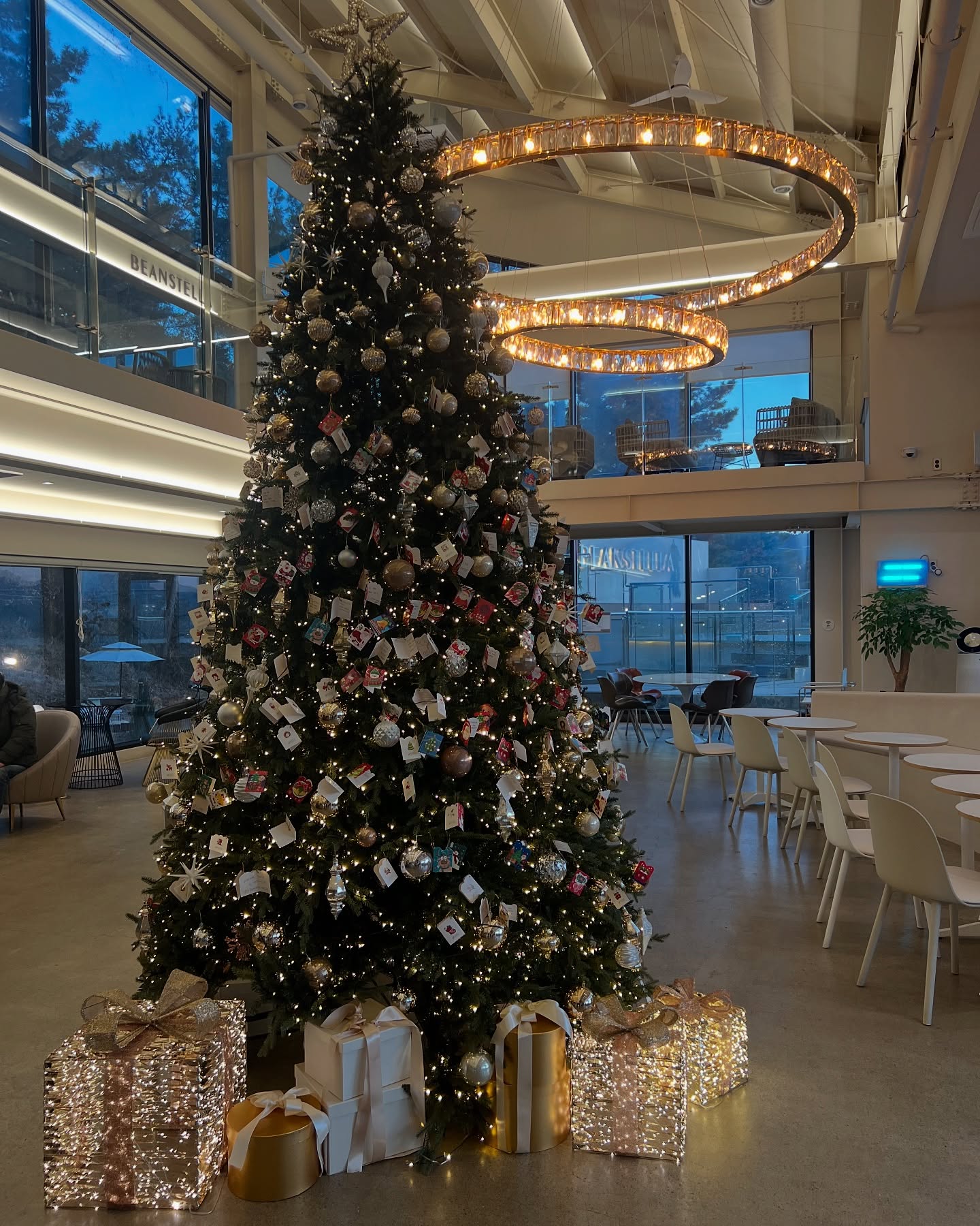 beanstella’s christmas event 소원카드 걸기

beanstella_cafe