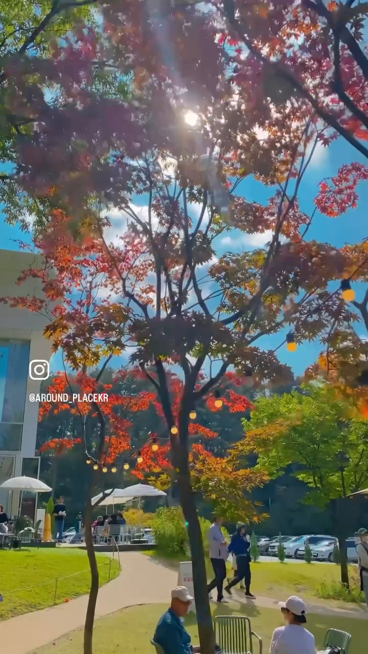 콘텐츠