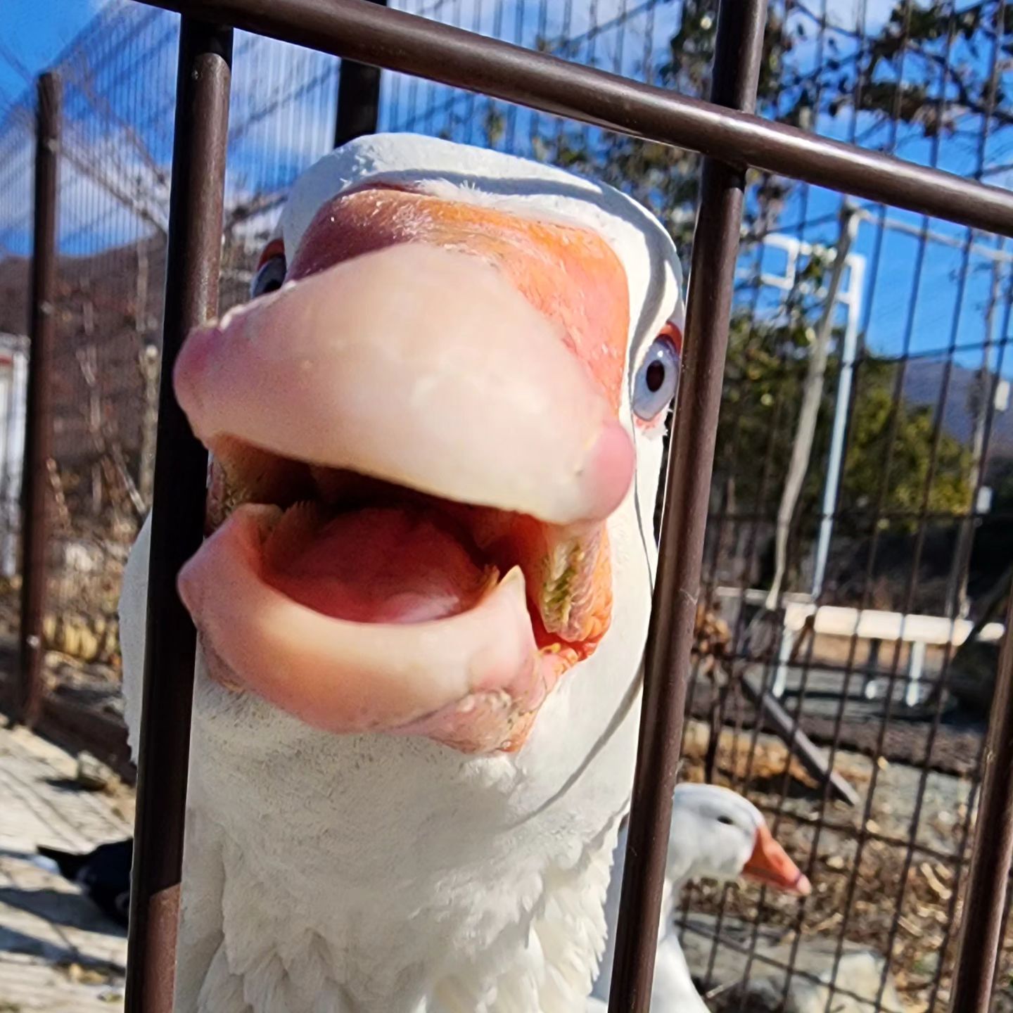 누구세요??