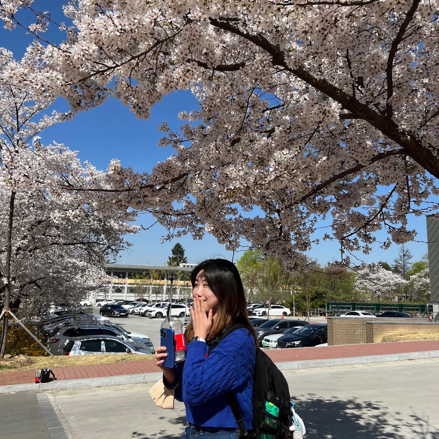 벚꽃 나드리🌸