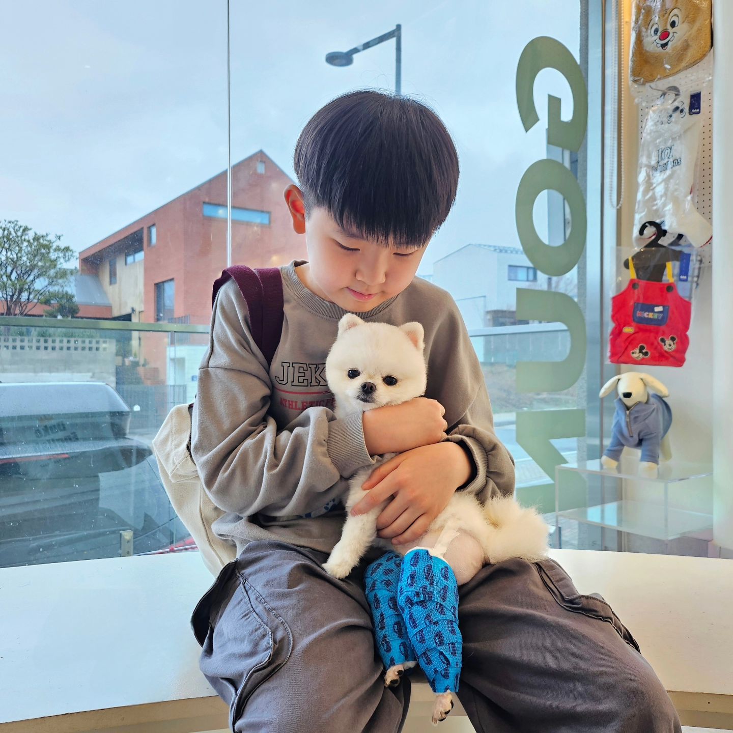 -♡

내새끼 두부🐶

양쪽다리 쓸개골수술😭
4시간이나 수술하고 얼마나 힘들었을고

5일 입원해야되서 
오늘 준수 수학학원가기전에 면회😭
 
준수보자마자 좋아서 꼬리흔들다가
아프고 무서운지 부들부들 떨고

내일도 갈게 횽아들이랑🫰🏻
아프지말자🐶🫰🏻

#쓸개골수술 
#병원비후덜덜
#아프지말자

#아들맘 #형제맘#11살#8살
#초딩#초딩맘#초4#초1
#육아맘#육아소통 #육아맘환영
#큰아들#내사랑 #내보물 #워킹맘#주부
#육아일상 #일상 #소통 #좋아요 #맞팔 #인친
#애스타그램 #럽스타그램#세종맘#젊줌마
#엄마가세상에서제일사랑해아들들❣
