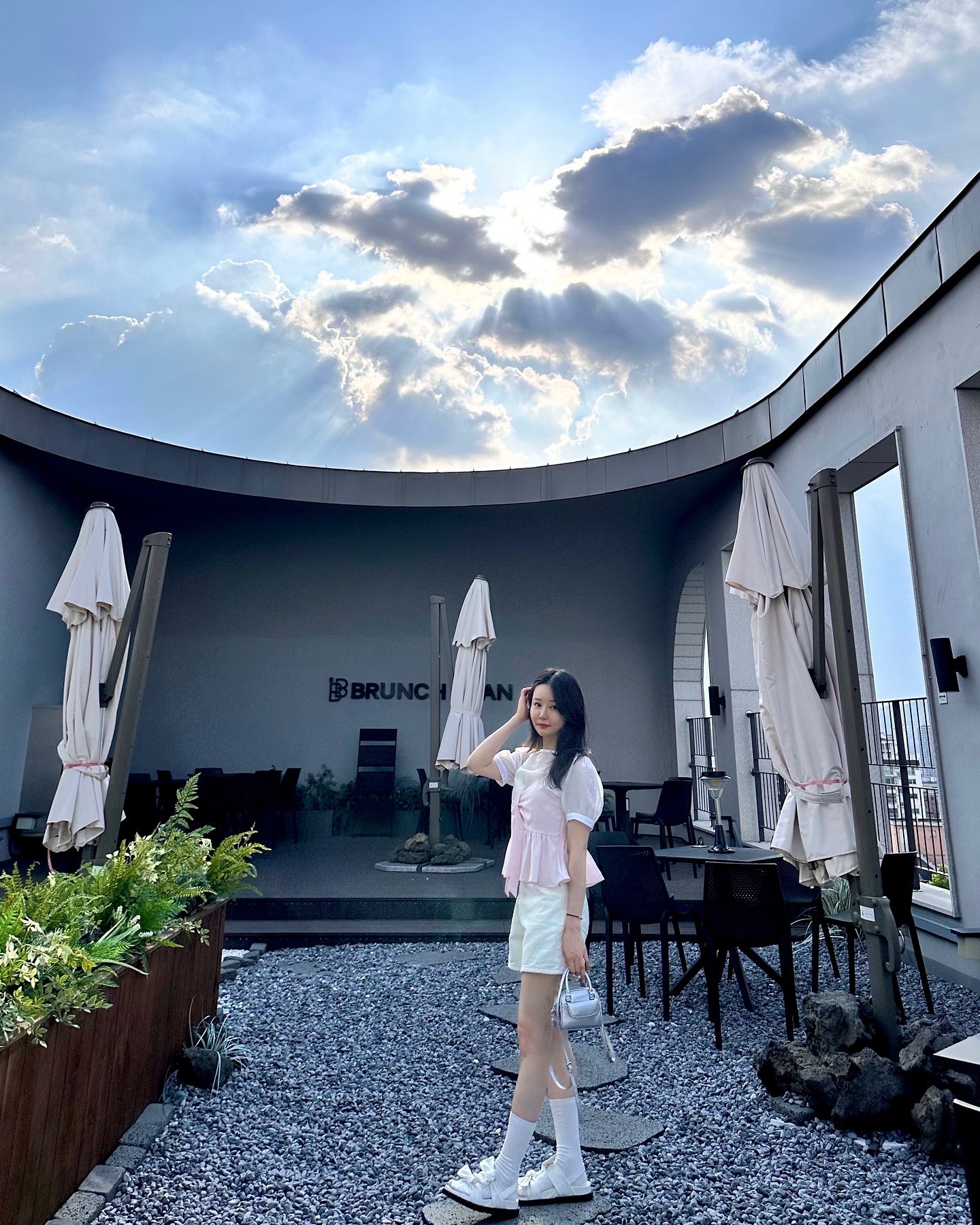 무궁화 꽃이 피었습니다🌸
