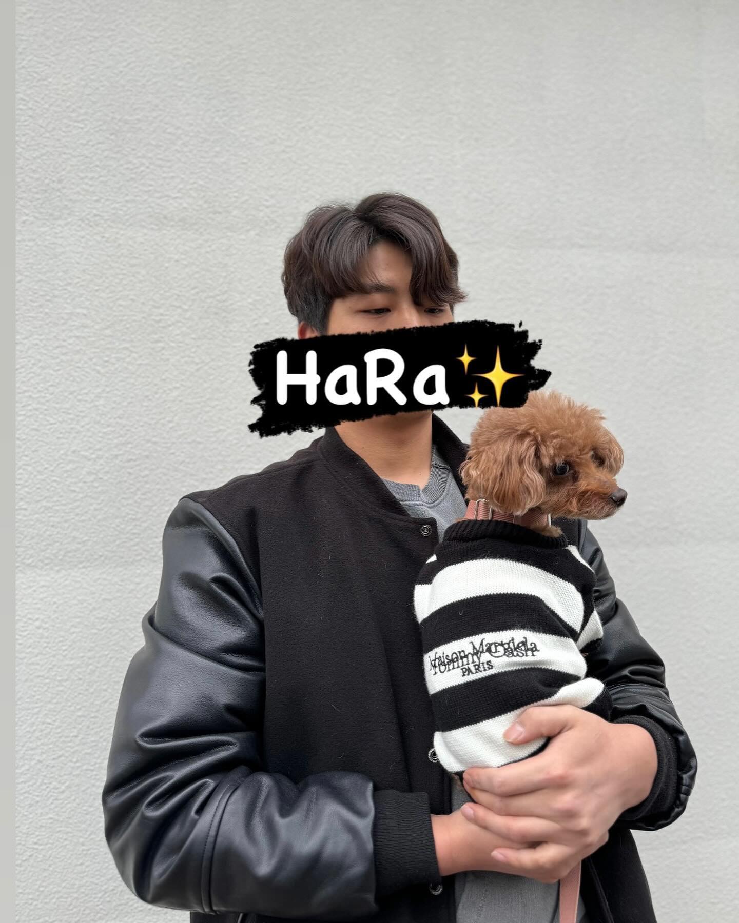 hara._.zzang 
🌈반려견, 묘 / 견주 용품 / 커플룩 1월 오픈✨
❤️💛많관부🩵💙