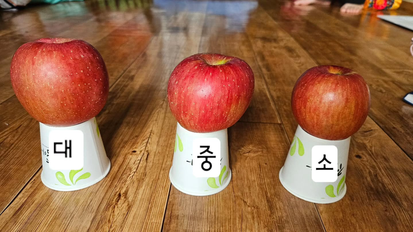 안녕 하십니까? 

사과 수확의 계절이 왔습니다.
한 해동안 피땀 흘려 지은 최고의
맛있는 사과를 공판장의 경매사의
손가락에 가격 책정되는것이 싫어
보다 저렴하게 소비자에게 직접판매
하오니 많은 주문 부탁드립니다.

 = 아 래 =

*사과 종류 : 부사 (동북7호)
동북7호란?
약30년전에쯤 처음
 식재된 사과로 요즘은 없는 종류임
 (과육이 단단하고 과즙이 풍부함)
*책정가격 (택배비 포함 가격)

*무게 :10Kg 기준
 (개별포장 하지 않고 최대로 많이
  담아 드림)
1.중과(36~40과: ₩65,000,
2.소과 (45과 이상) : ₩50,000 

 ■ 작업관계로 전화보다
 문자로
 주문 주시면 감사하겠습니다.
 궁금한 사항이 있으시면 전화 부탁드립니다.

연락처 010-8353-8377
