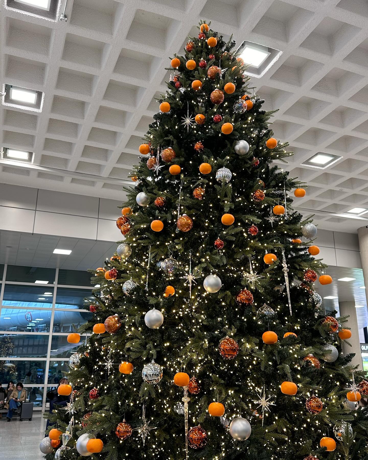제주박도자 이것저것 
🎄✨☕✈️🎁💗
크리스마스도 끝 ˚₊·—̳͟͞͞♥