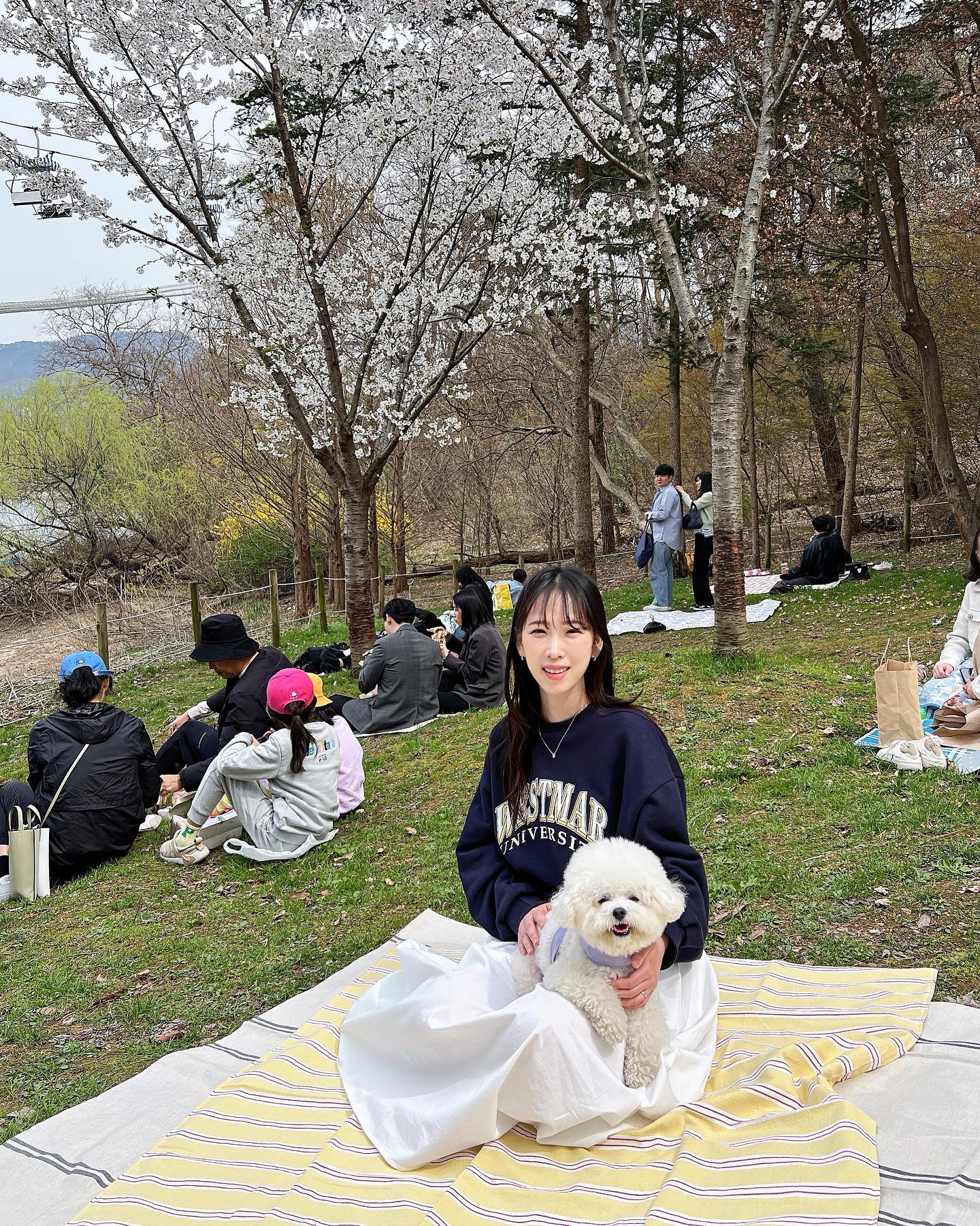 우리도 벚꽃 보고 왔지🌸
토토와 왔던 벚꽃길 아톰이랑도 걸어 보기
.
에펠탑 피크닉 가려고 샀던 돗자리💛🤍💙
그 사진은 언제 올려...?
스위스 사진 정리하기 귀찮아서 파리 사진도 못 올리는 중🤔
.
🥓서울대공원 맛집 <쉼터> 강추
🐶애견동반 가능! 생오겹살 맛있다👏🏻
요즘 날씨에 야장하기 좋은 맛집!
.
.
.
.
.
.
#서울대공원 #서울대공원벚꽃축제 #서울대공원벚꽃 #서울벚꽃 #서울벚꽃명소 #벚꽃축제 #꽃개 #강아지벚꽃샷 #비숑 #bichonfrise #개모차 #벚꽃피크닉 #서울대공원피크닉 #withdog #강아지와함께 #벚꽃룩 #ootd #좋아요반사 #lfl #봄데일리 #서울대공원쉼터 #서울대공원맛집 #서울대공원애견동반