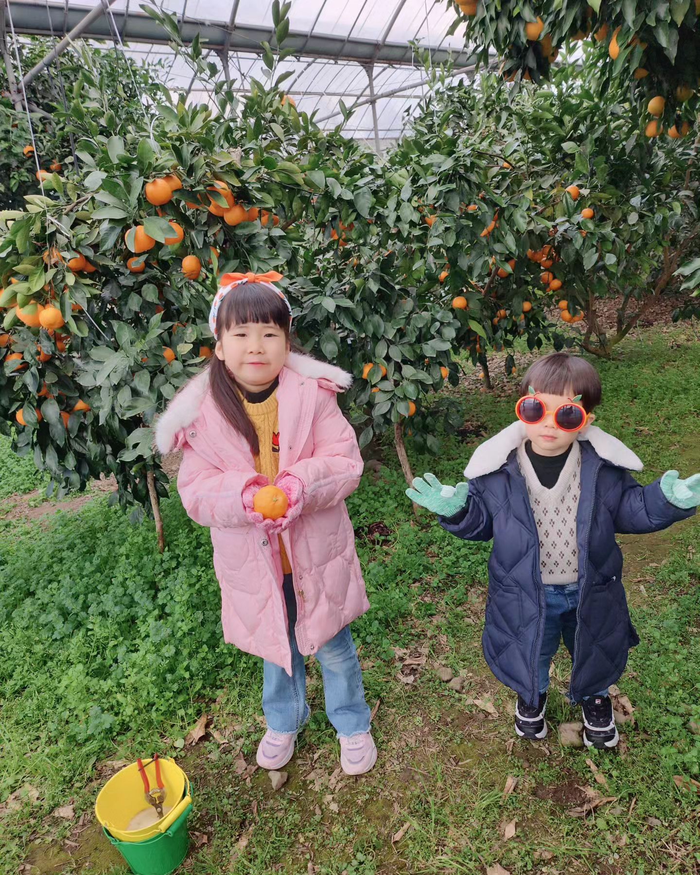 콘텐츠