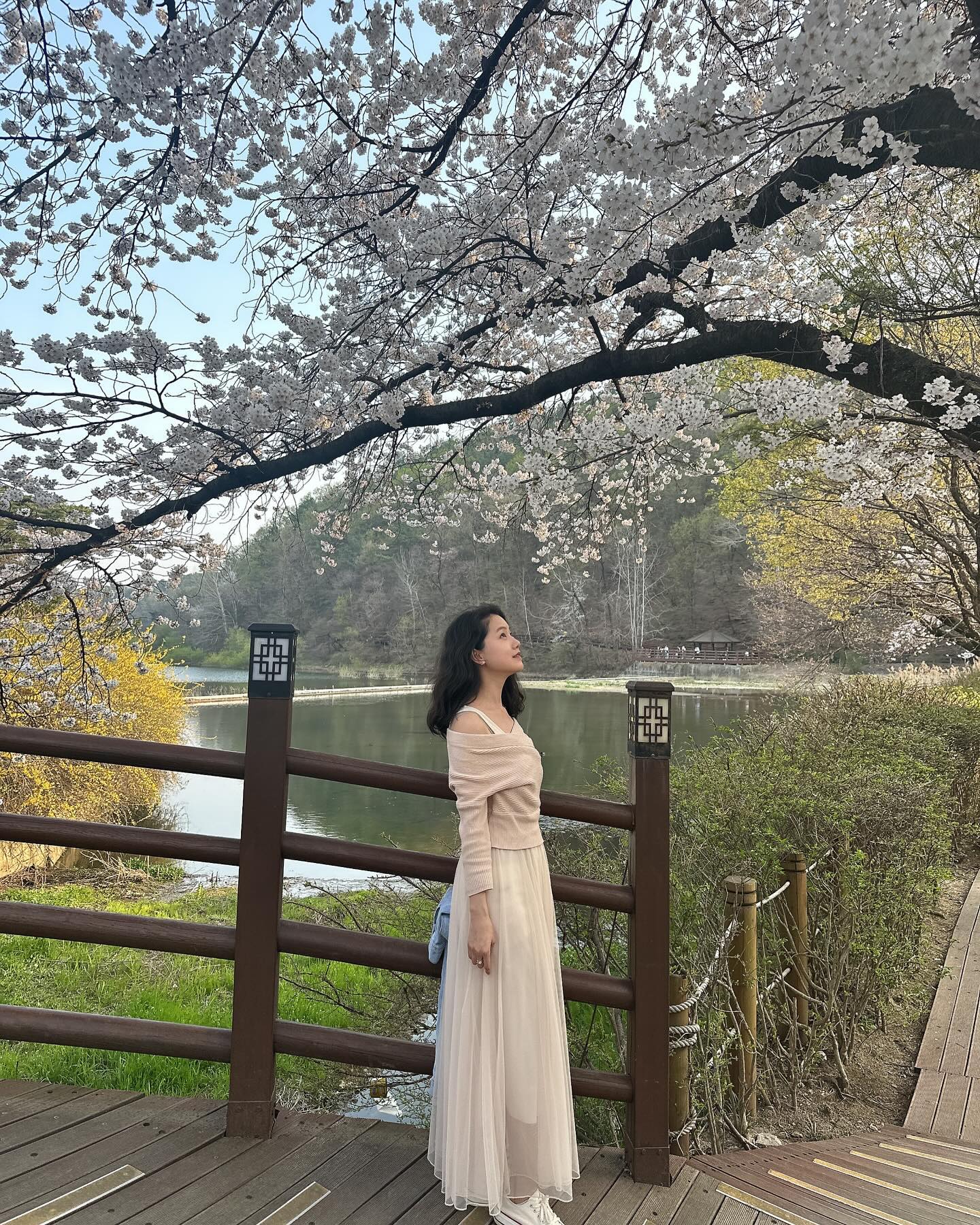 주일날 벚꽃 나들이🌸🌸🌸🌸

#주일 #벚꽃 #나들이
#🌸🌸🌸 #광교저수지