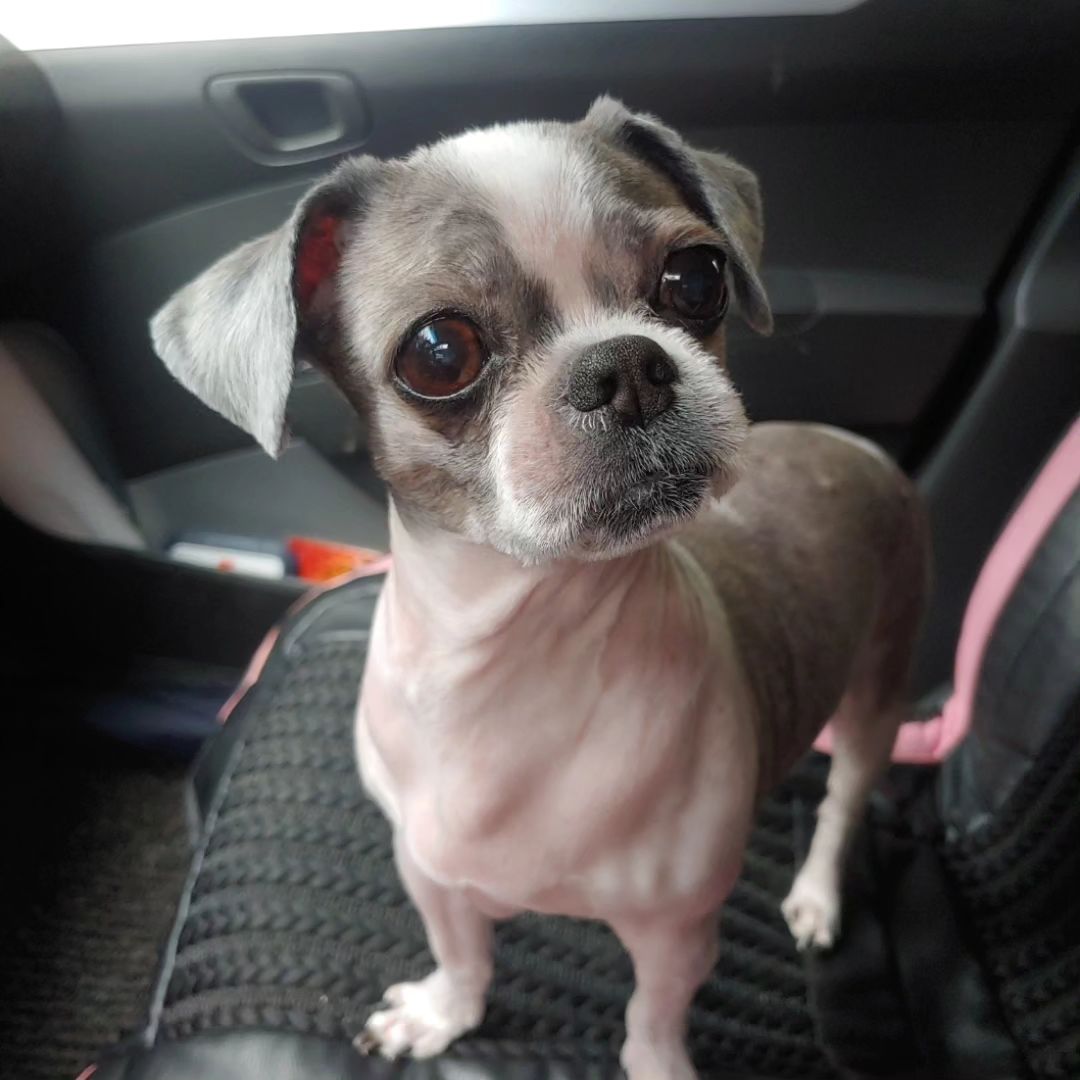 반려동물과 남해여행이 가능해요

반려동물과 함께할수 있는 여행이라니!!
너무 좋은듯~
울 한입이와 함께 여행가보자 

#남해관광문화재단 #반려동물동반가능남해여행안내서

travelnamhae