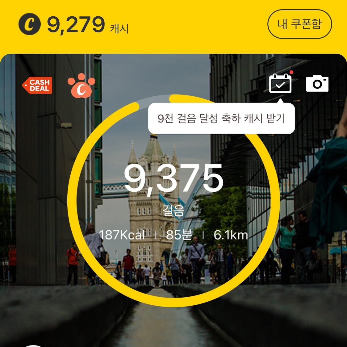 아침 저녁 두 번 운동 성공!! >_<