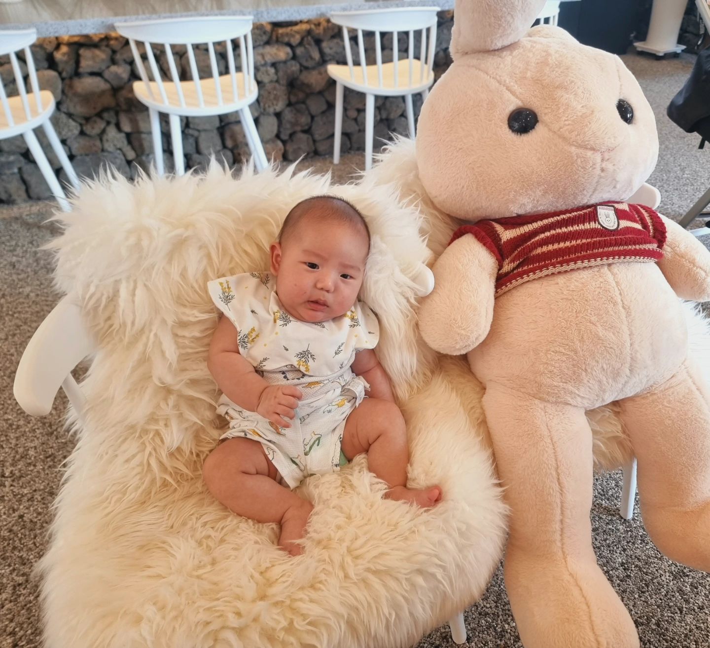 .
아직 앉을때가 아닌데.. 엄마욕심에
30초앉아있음ㅋㅋㅋㅋㅋㅋ
엄마아아아 저쓰러져요오오👶

눈 크게떠.. 그만부어.. 🥲
난 눈큰 니가 좋단말야😭😭😭
.
.
#토끼띠아기 
#토끼인형
#꺅❤️