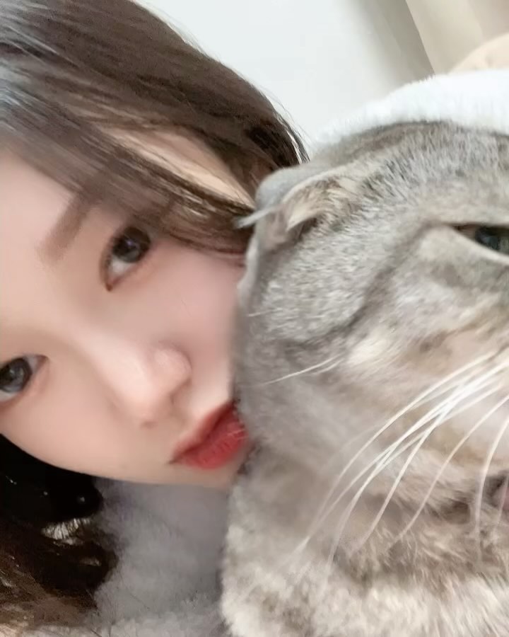 콘텐츠