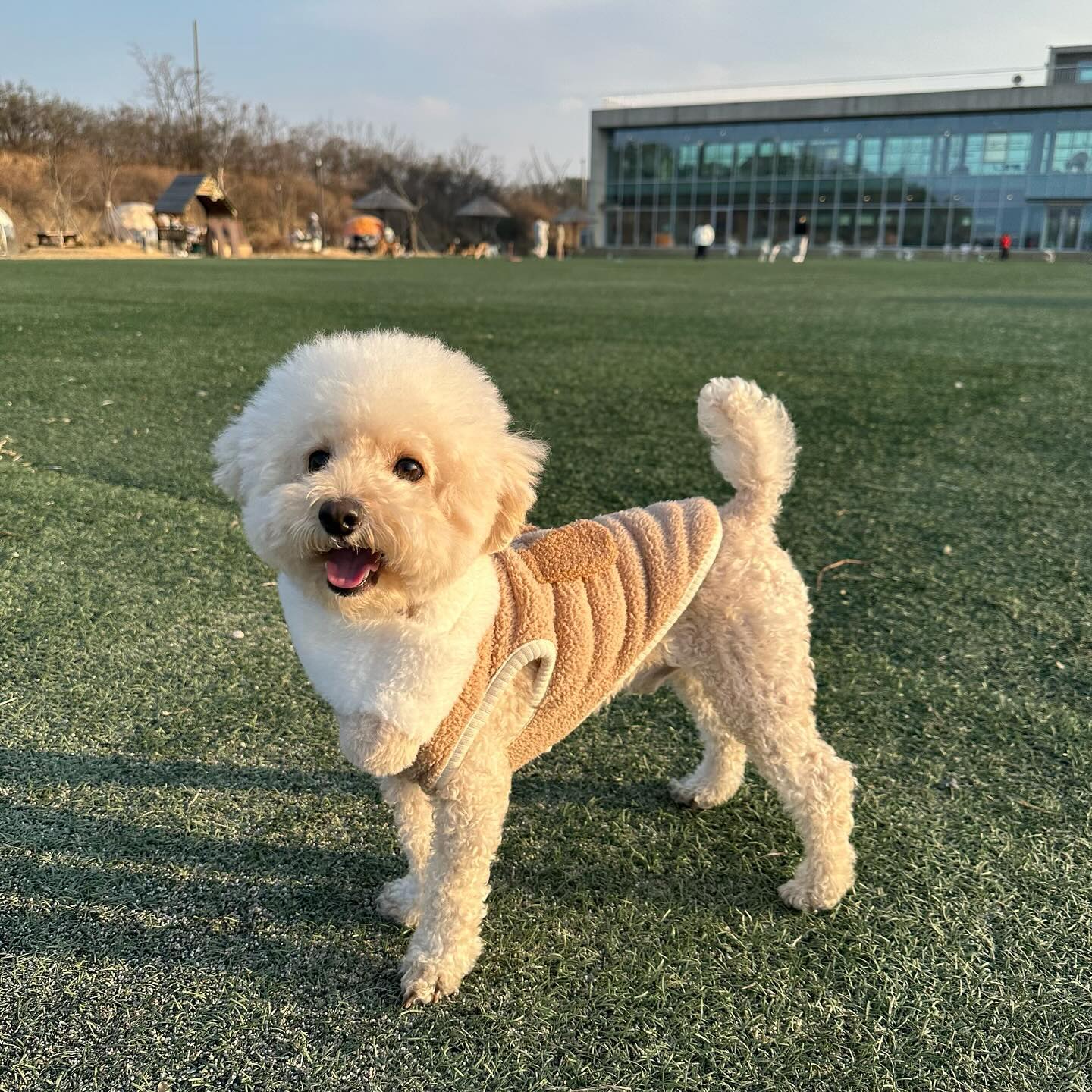 🐶🐶

#오늘아님 #오늘아님주의 

전국적으로 비온데😭😭
푸디는 오늘 목욕다녀올거야 ✨👌🏻
뽀송뽀송 깨끗해지고 올게 💖💖💖