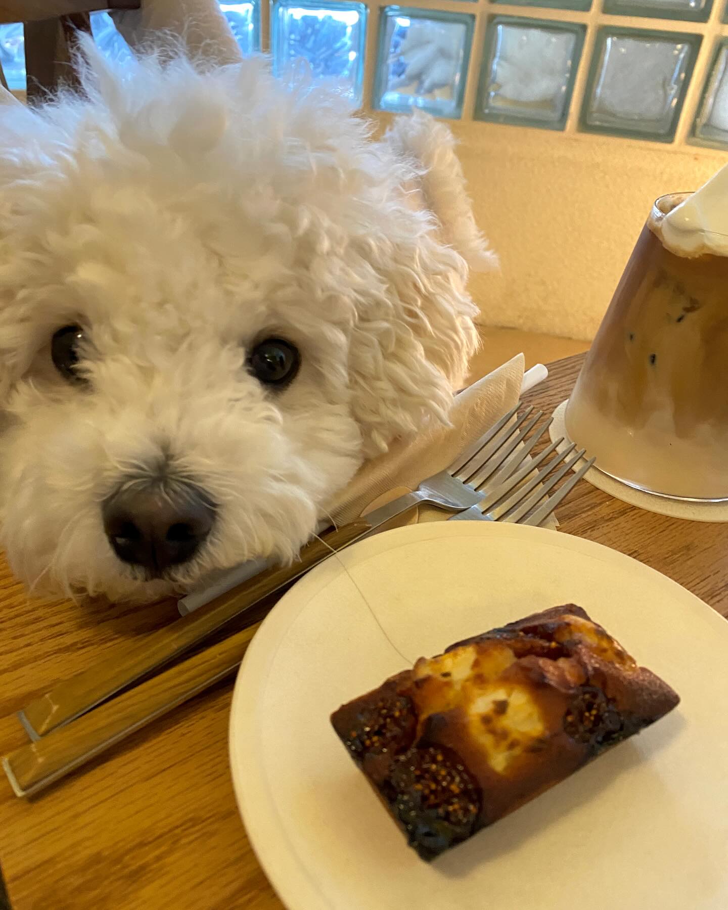 쫑이랑 heun_coffeebar 

✅ 아담하고 따뜻했던 분위기 
✅ 휘낭시에 종류가 엄청 많았어요 :) 
✅ 무화과 휘낭시에 추천 !! 
✅ 바테이블도 있어서 노트북 가져와서 일하기도 좋은 

집근처니까 산책하고 자주 들리자❤️

카페정보 👉 heun_coffeebar 

#운정카페 #운정애견동반카페 #무화과휘낭시에 #휘낭시에맛집