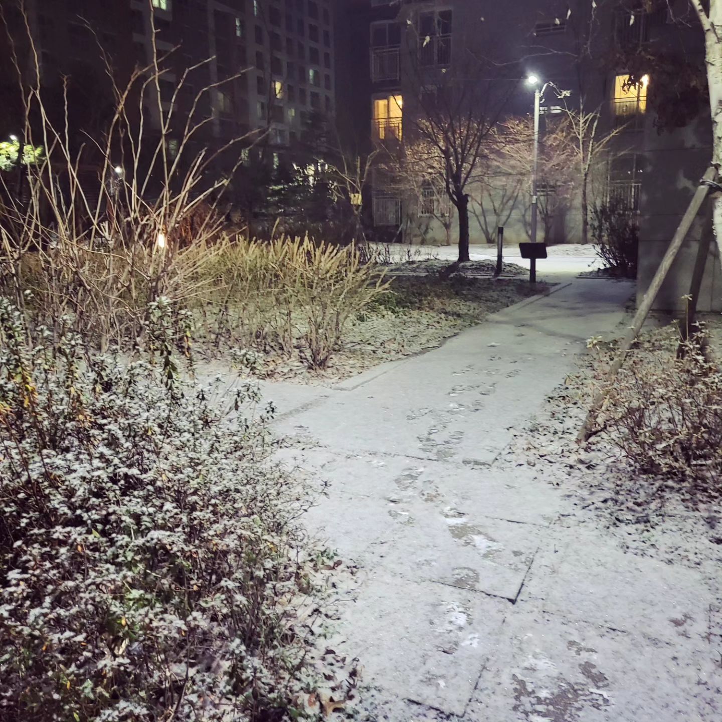 #눈오는날❄️ #눈부신날엔 
저녁 퇴근길에도
아침 출근길에도
눈 쌓인 길
온세상이 하얗게 되고
내 머릿속도 하얗게 되는 날🤣

눈이와요
손이 꽁꽁 발이 꽁꽁
뚜벅이는 이래서 건강한 건가

#눈아그만와라🙏 
#눈길#발자국#겨울#소복소복 
#일상#소통#추억#소소함
