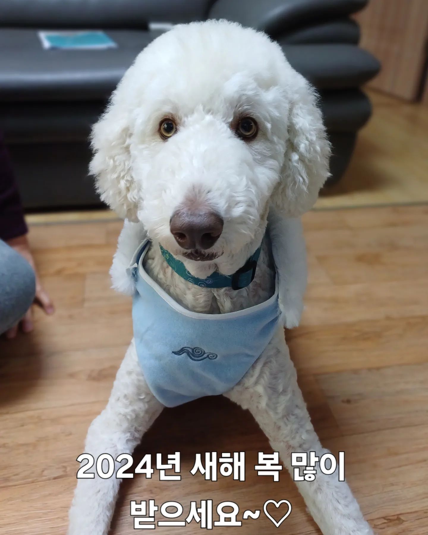 콘텐츠