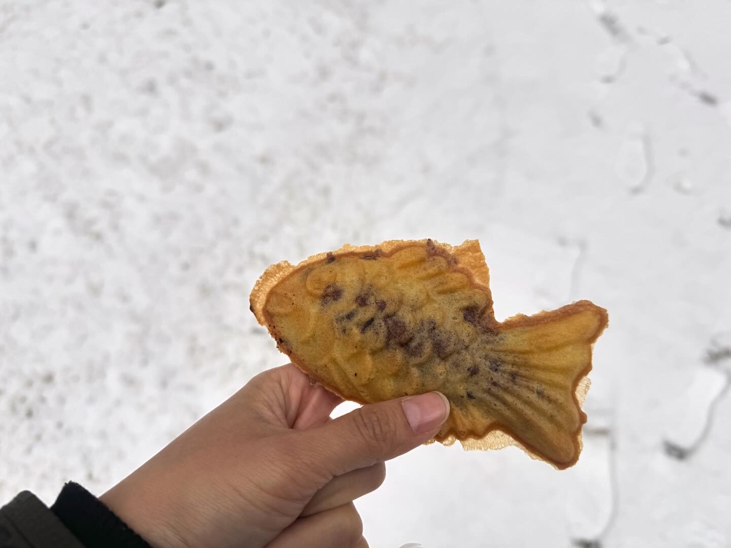 하얀눈이 펑펑온날 feat #붕어빵

올해는 정말 눈이 많이 오려나봐요❄️
오늘도 또 눈, 
눈도오고 춥고하니 보통은 그냥 지나치는 붕어빵 가게에 발목이 잡혀서 ㅋㅋㅋㅋ 

눈오는날 먹으니 더 맛있는 너낌입니다 ㅎ 

#붕세권 
#흰눈이펑펑