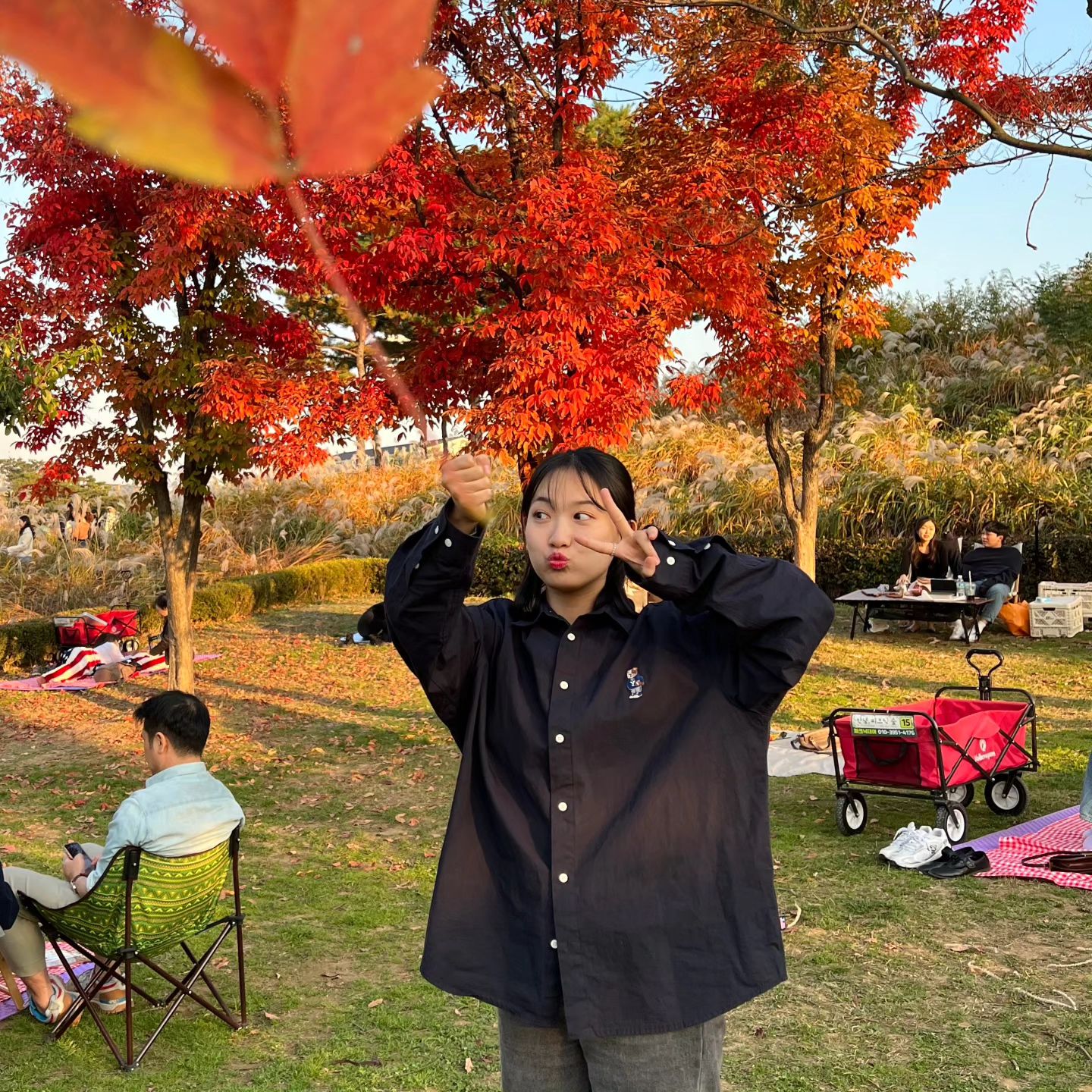 🍁