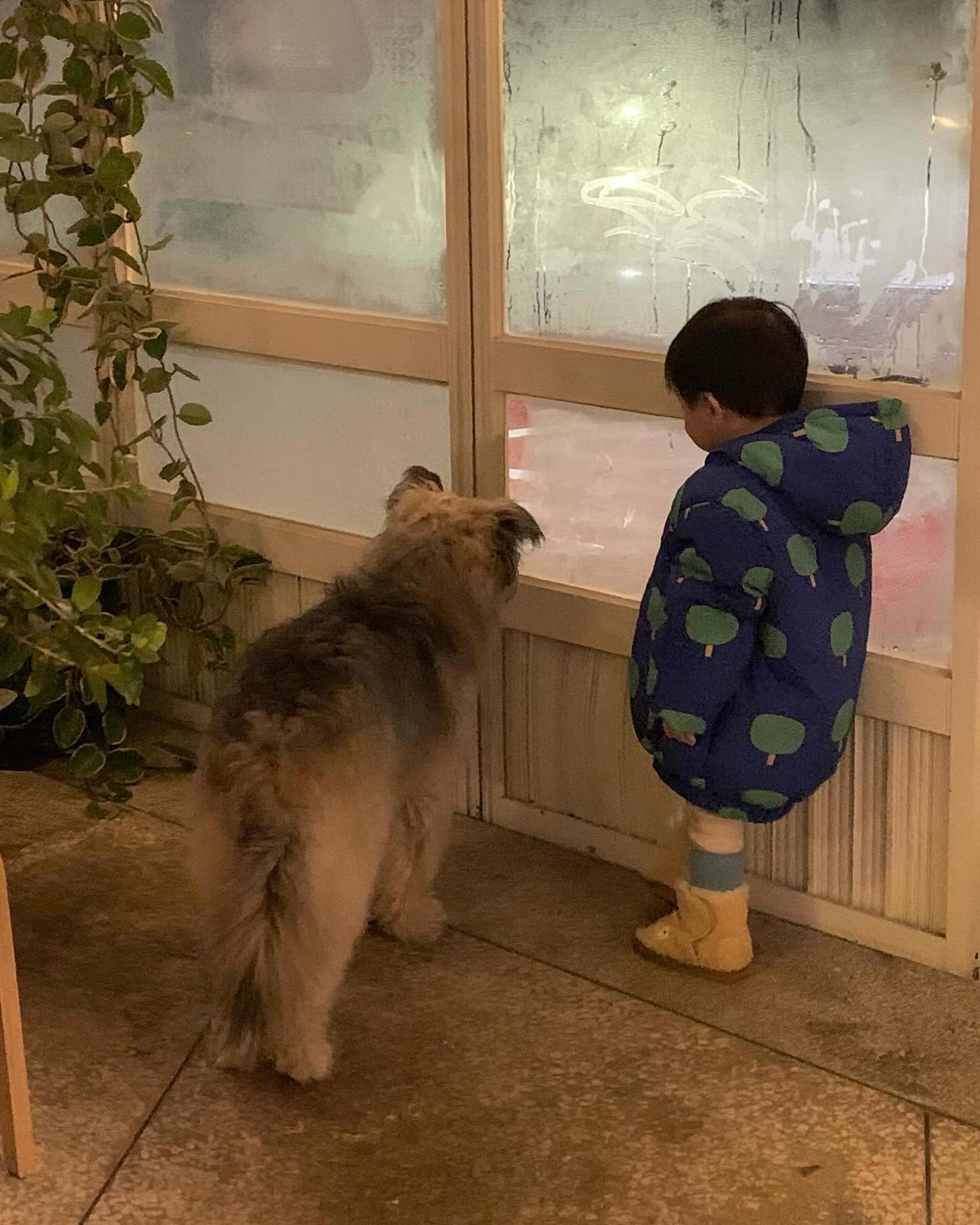 오랜만에 뱃속친구 리은이 만나서 키즈카페도 가고
신이 났는데 집에 와서는 코코 이야기뿐..🐶

약속장소로 가고 있는데 어머나.. 여기 미들노츠자나!
스토리에 올리고 동생이 언니 여기 가자 했는데!!
3분거리라니.. 무조건 가야지.. 사실 마지막에 체력이 바닥인데 애들은 체력이 살아 있으니 가야지 뭐..🫠

도착하자마자 난리남..팬클럽 수준..
코코는 당황스러웠지만.. 착하게 받아줬고 
사장님도 이해해주셔서 넘 감사했음🥹
차누는 진짜 강쥐 좋아하는데 이래 보니 완전 난리남
옆에 가서 밥먹자 여행가자 산책가자🤣🤣🤣
무슨 여친 꼬시는줄 ㅋ ㅋ ㅋ ㅋ ㅋ ㅋ ㅋ ㅋ 🤣
그래도 미들노츠에서 마무리까지 완벽하게 한잔하고 집으로..
와서 눈감기며 올려보는 목요일밤..🖤

마지막 영상.. 미들노츠 빈티지코너에서 댄스중..😎🤣

#망미동카페#망미동술집#미들노츠#예스키즈존