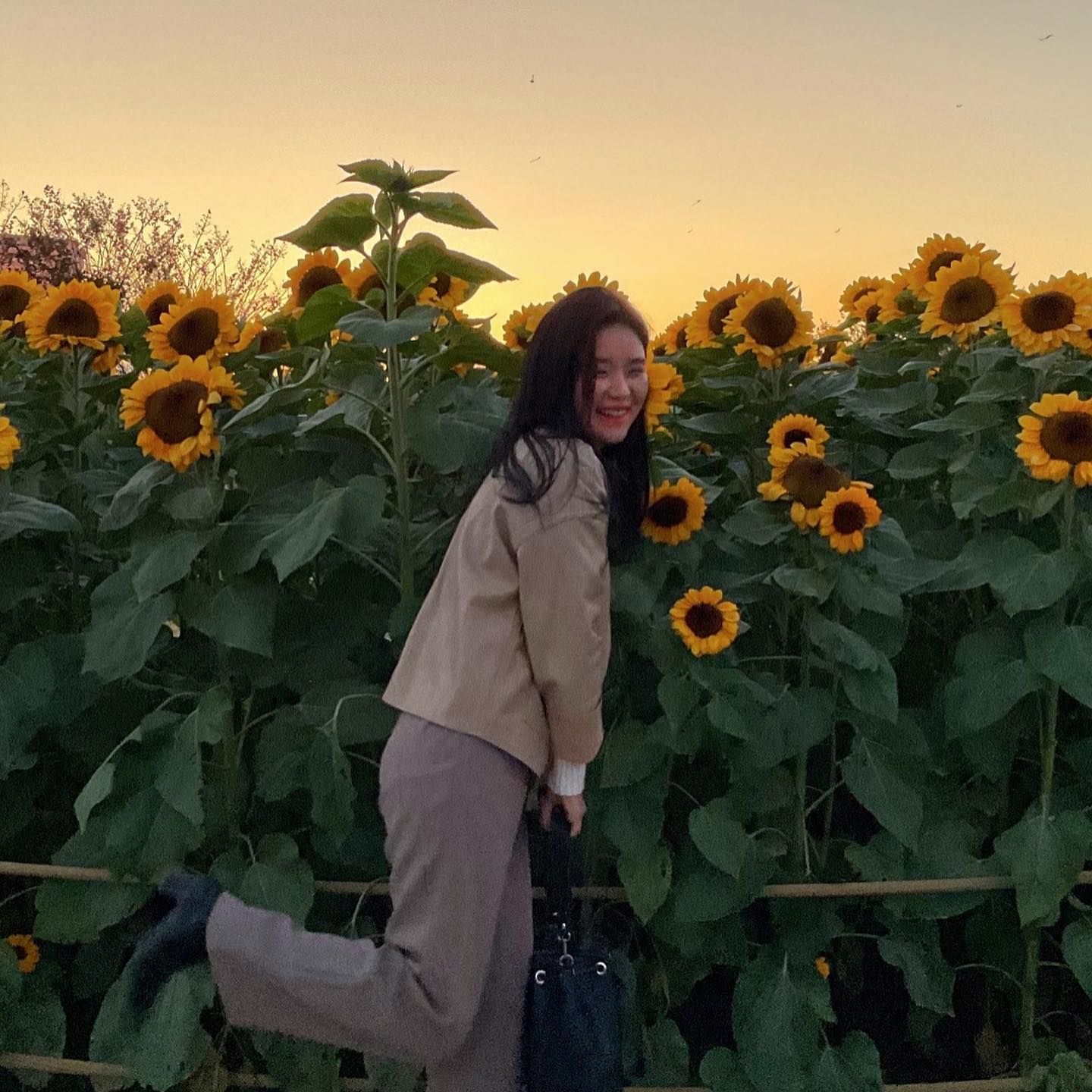 해바라기 구경🌻
핑크뮬리 구경😗
#경주핑크뮬리 #경주해바라기