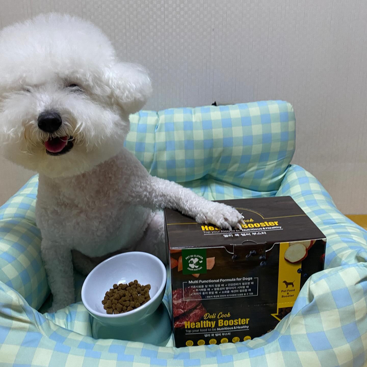 #협찬 

우리 오찌가 요새 입맛이 까탈스러워지고 입맛도 없는지 먹던 사료마저 거부하고 간식만 달라고 하는데 간식만 계속 주면 버릇될까봐 사료부터 바꿔보았어요!

이 사료는 양고기, 닭고기, 소고기, 황태까지 들어가서 그런지 기호성 미쳤다구요 ㅠㅠㅠ 이렇게 눈 뒤집어가면서 먹는 모습 오랜만이야 오찌야🥹🤍

말랑 말랑해서 노견이나 치아가 안좋은 강아지들이 먹기에도 좋다구우👍🏻

요새 기력도 떨어진 것 같아서 사료 알아보다가 아 이거다 하고 시켰는데 이게 또,, 피부, 장, 관절, 눈, 면역력 등등 도움을 주는데 이만한 사료 찾기 힘든거 아시쥬..?👍🏻

꾸준히 먹으면서 입맛을 되찾쟈 오찌야🐶🤍

❛델리 쿡 헬씨 부스터❜ 

૭ 원물의 맛과 영양소를 그대로! 
૭ 면역 증진 도움
૭ 눈 건강 도움
૭ 관절 건강 도움
૭ 장 건강 도움
૭ 요로 건강 도움
૭ 피부 모질 개선 도움

🖤 coreadog

#국개대표 #국개대표사료 #강아지사료 #델리쿡 헬씨부스터 #증기로찐강아지밥 #기호성좋은강아지밥 #기호성좋은강아지사료 #강아지기능성사료 #생육사료 #강아지생육사료