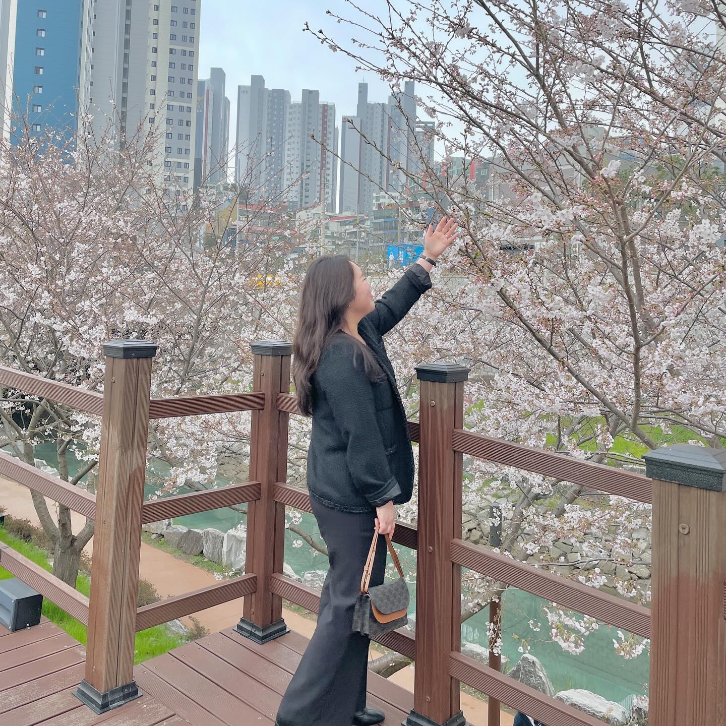 마지막 팝콘구경하고 왔어요!🌸🩷
이제 끝무렵이라 만개된걸 못봐서 아쉽지만
그래도 없어지기전에 봐서 행복해!

내년에도 같이 보자😉