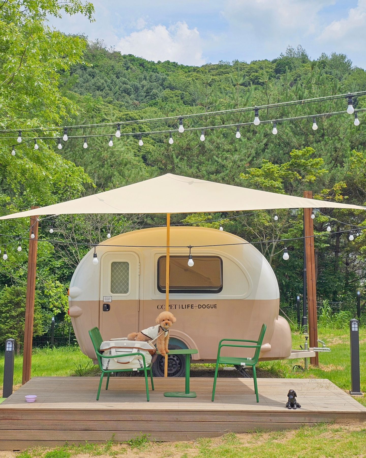 #도배끝 🌳
B컷 한장도 버릴 수 없는 이 마음..🥹

ＩLᵒᵛᵉᵧₒᵤ♡゛
내 눈엔 다 예쁜 마이🤍

🌿

#마이🐾#poodle#푸들#크림푸들#푸들스타그램#강아지#댕댕이#펫스타그램#멍스타그램#강아지모델#멍팔#귀여운강아지
#곤트란쉐리에울미숲점 #애견동반카페 #애견동반식당 #포천카페
#밀리옹 #베이글카시트 #강아지카시트 #강아지옷 #강아지가방