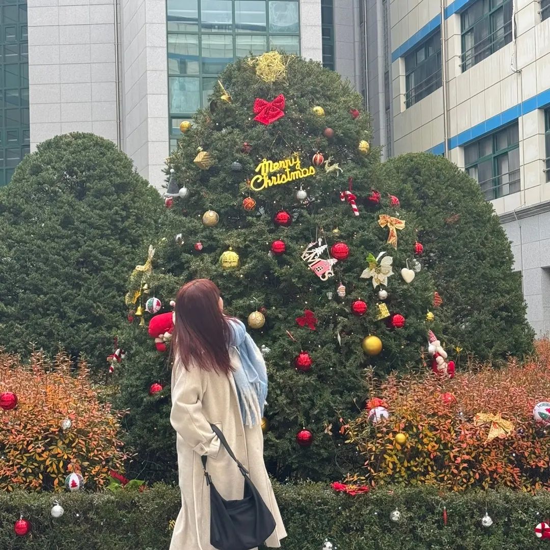 콘텐츠