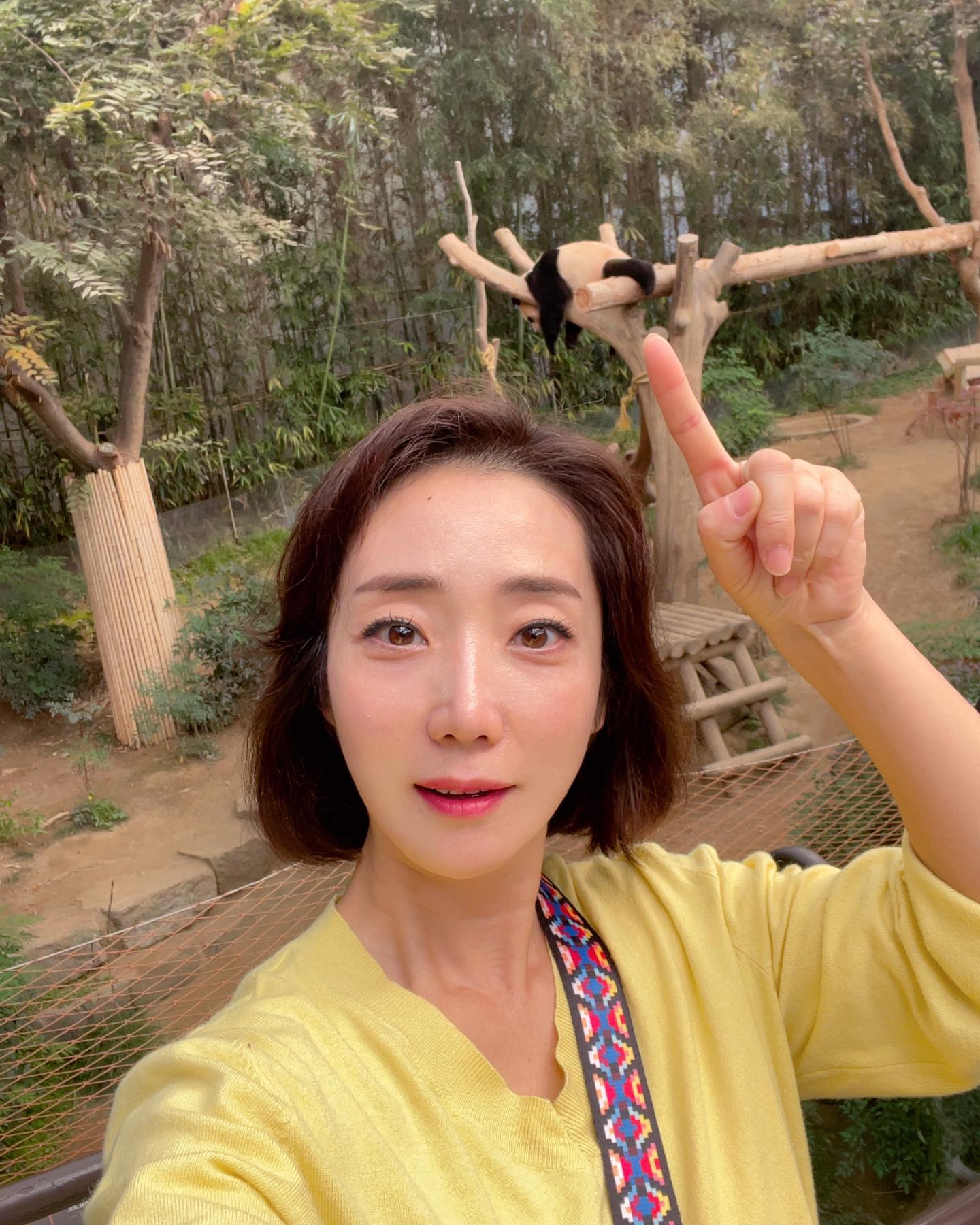 어떻게 이렇게 자지💤 푸바우가 넘 보고싶었는데 쿨쿨 잠만 자서 질펀한 엉덩이만 실컷 보고 왔어요ㅋㅋ 
오픈런의 목적은 사파리월드였건만 입장하자마자 예약마감🥲 2시부터 현장줄서기가 가능해서 아들 낮잠 자는 동안 아빠 줄세워서 4시에 입장했슴돠 #아빠칭찬해👏 

입구에서 만난 꼬마아가씨한테 반한 아들이 졸졸 쫓아가서는 여자아이 손을 덥썩 잡고는 안놔줌🤣 놀이기구를 3개나 같이 탔는데 유주엄마랑 어찌나 말이 잘 통하는지ㅋㅋ 인스타 팔로우도 하고 정말 많은 얘기를 나눴네요ㅋㅋ 그후로 3번을 더 마주쳤는데 유주가 필립이랑 결혼한다고 했다고😁 우리 며느리 또 언제보나~ㅋㅋ 며느리 초상권이 있으니 사진은 저만 간직하려구요😉 
자연농원 시절에는 엄청 크다 생각했는데, 생각보다 그렇게 크지 않더라구요. 에버랜드 구명칭이 자연농원인거 아시나요?ㅋㅋ 암튼 제가 큰건지, 더 큰 놀이동산을 봐서인지... 규모도 그리 큰것처럼 안느껴지더라구요. 사람많은 평일이었지만 목적은 달성했으니 대만족한 하루예요☺️

#예비사돈보고있나 #반가웠어요🤗 #에버랜드 #자연농원아는사람🙋‍♀️ #판다월드🐼 #사파리월드 #오픈런성공✌️ #푸바오 #레서판다 #필립이네나들이 #한달휴가중