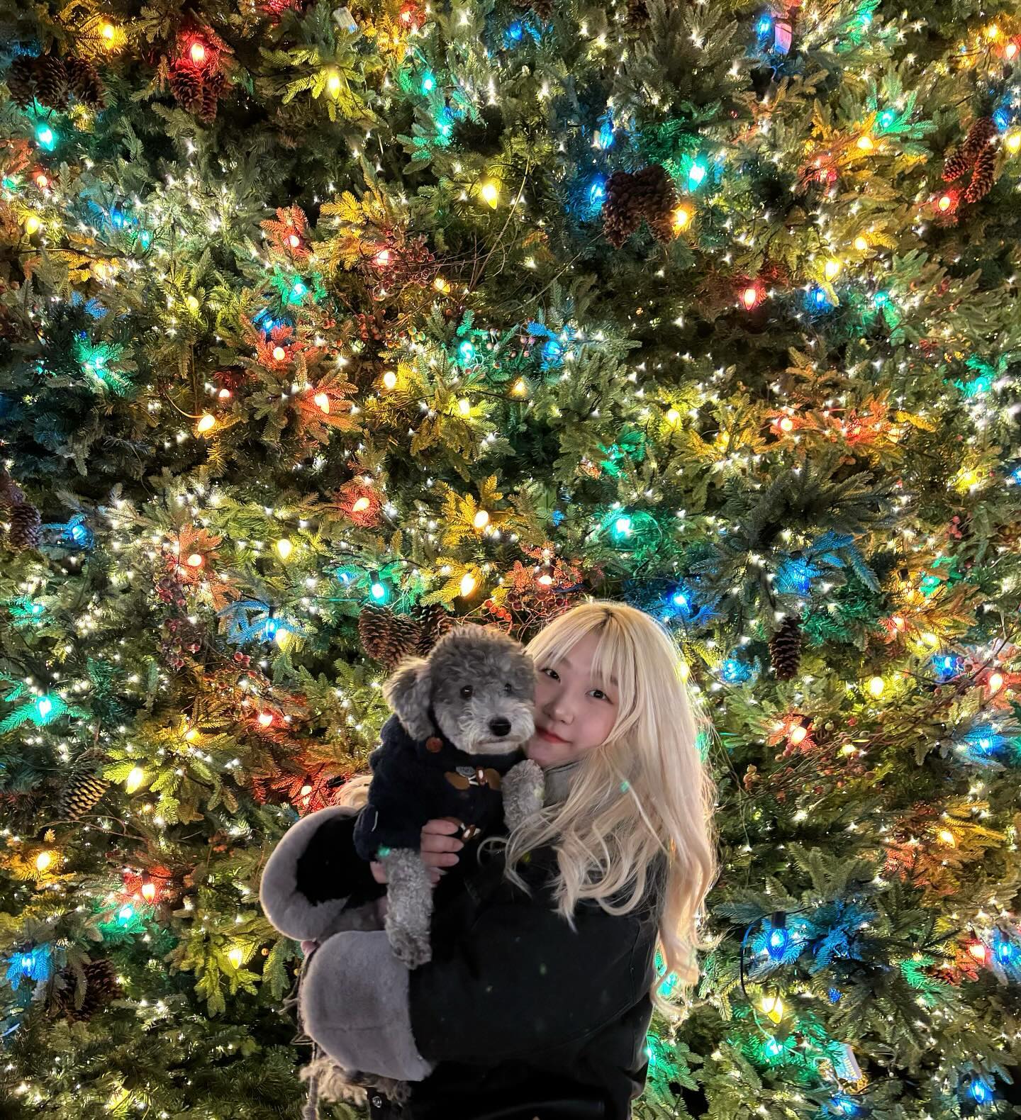 Merry Christmas🌲⛄️✨
