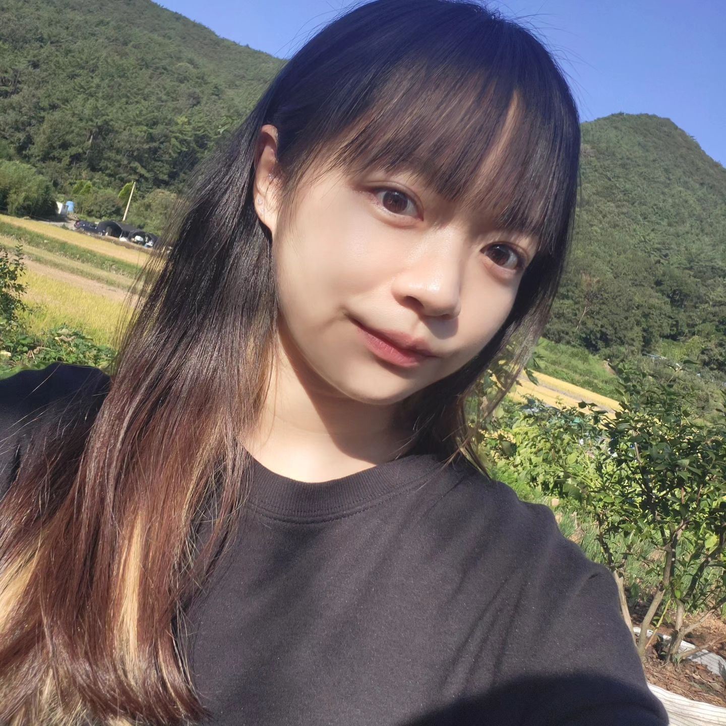🫐
보래구름 :)