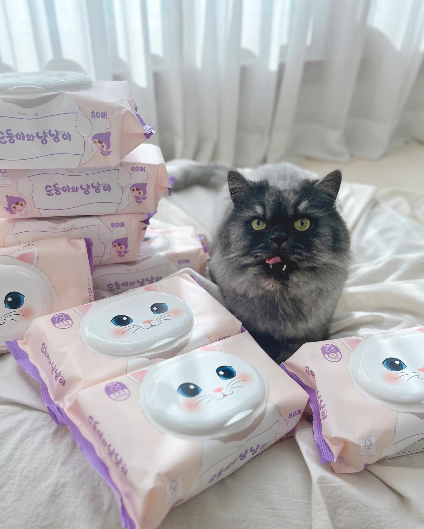 #광고 순둥이펫 ‘고양이 전용 물티슈’

고양이에게 일반 물티슈를 사용하는건 아기피부에
식초를 바르는 것과 비슷하다는 것 알고계셨나요?
고양이와 피부산도가 2가량 차이나서 그렇다는걸
‘순둥이펫 고양이전용 물티슈‘ 덕분에 알게됐어요 o̴̶̷᷄ ·̭ o̴̶̷̥᷅

좋은 기회에 순둥이에서 보내주신 선물로 알게되어
정말 다행이였어요, 직접 사용해보니 고양이 턱드름에도
세수 잘 못하는 우리 로키삼촌에게 찰떡 제품이더라구요

동물용 의약외품 허가를 받고 고양이가 좋아하는
마따따비 추출물 함유에 생분해까지 되는 물티슈!
꿀딱이네가 착한 제품으로 강력추천해요 ෆ⃛

#협찬 #순둥이와냥냥이 #고양이물티슈 #고양이턱드름
#고양이용품 #고양이손 #고양이엉덩이 #반려묘물티슈
#고양이귀물티슈 #고양이눈꼽물티슈 #고양이똥꼬물티슈