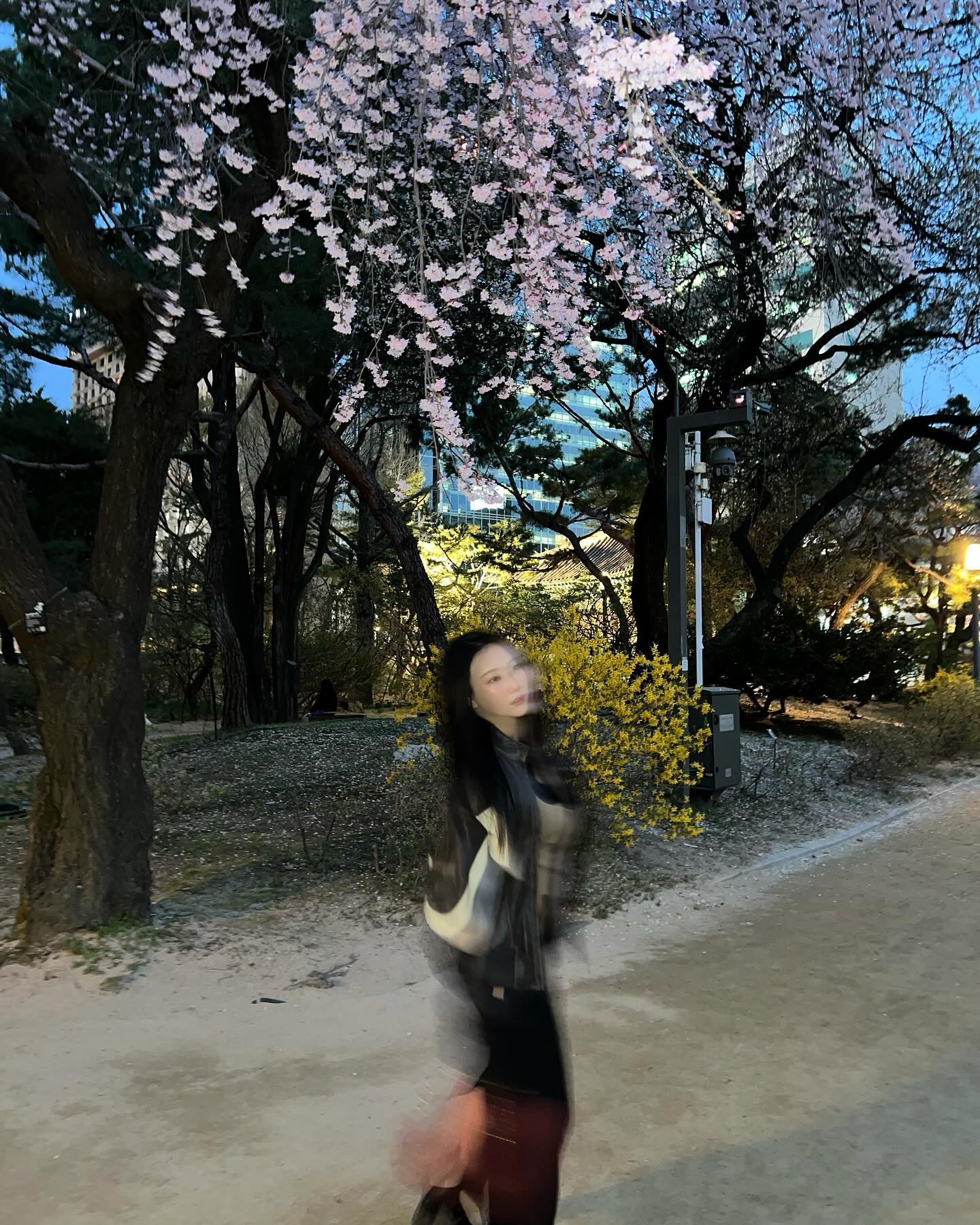 봄 이제 다 간거니..? 🥺
