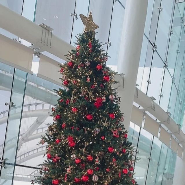 DA_JEONGs2 on Instagram: "#광고 ❗️마른파이브의 넉넉 소프트 웜 골지 롱 오버 니삭스 리뷰❗️ 오늘은 마룬파이브의 넉넉 소프트 웜 골지 롱 오버 니삭스를 착용해본 리뷰를 해보려고 한다! 평