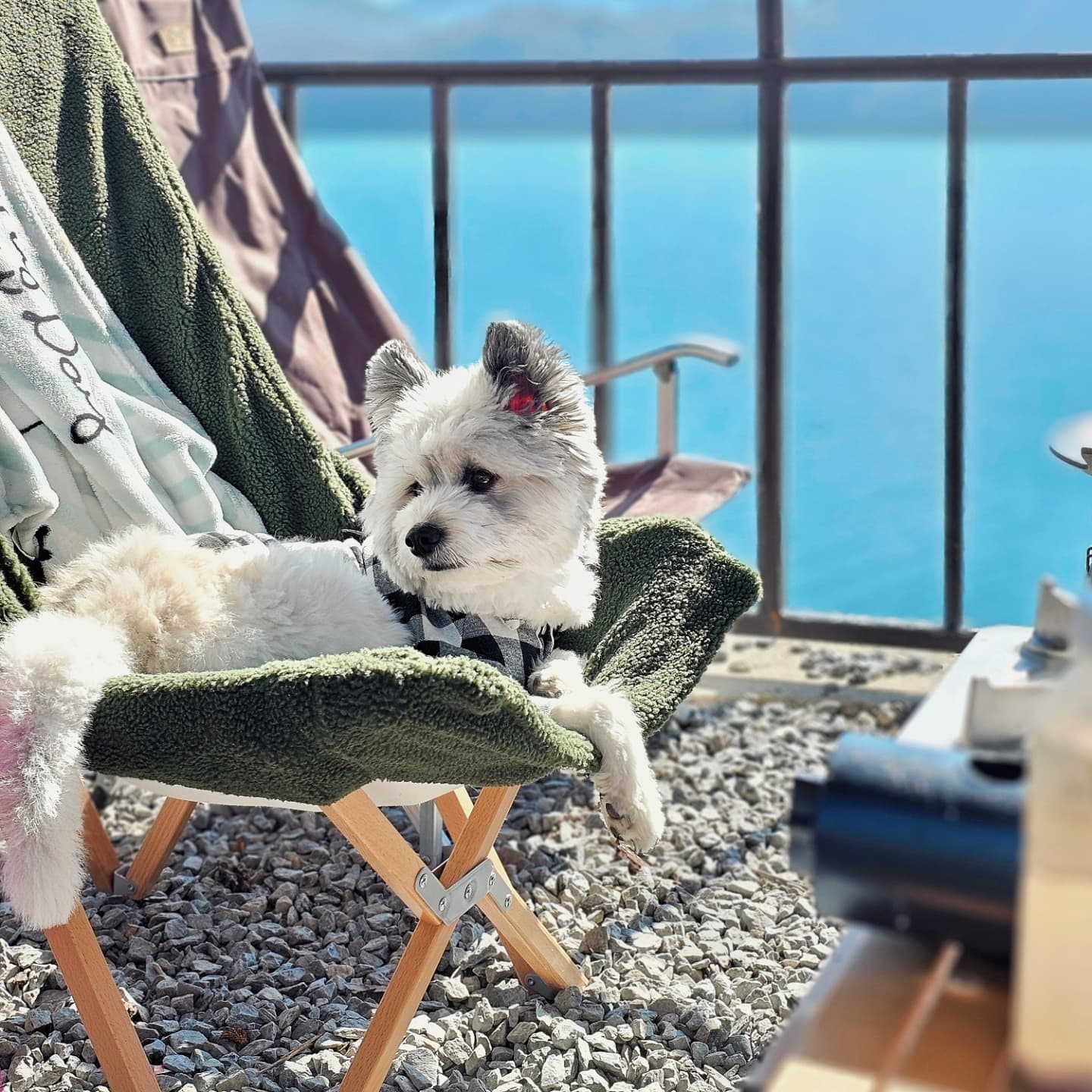 가족여행 2박3일 #제천캠핑 🏕
청풍호 충주호가 눈앞에 펼쳐진 찐뷰맛집이에요. 밤이 되면 물 소리만 조용히 들리고 하늘 가득 별이 박혀 있어 불멍 물멍하며 쉬기 너무 좋았어요✨️

애견동반🐶
- 키로수 제한은 따로 나와있지 않으나 대형견의 경우 예약시 문의 남겨보면 좋을 것 같아요
- 캠핑존 옆으로 애견 전용은 아니지만 벤치와 넓은 잔디밭이 있어서 놀기 좋아요

#제천마린힐캠핑장