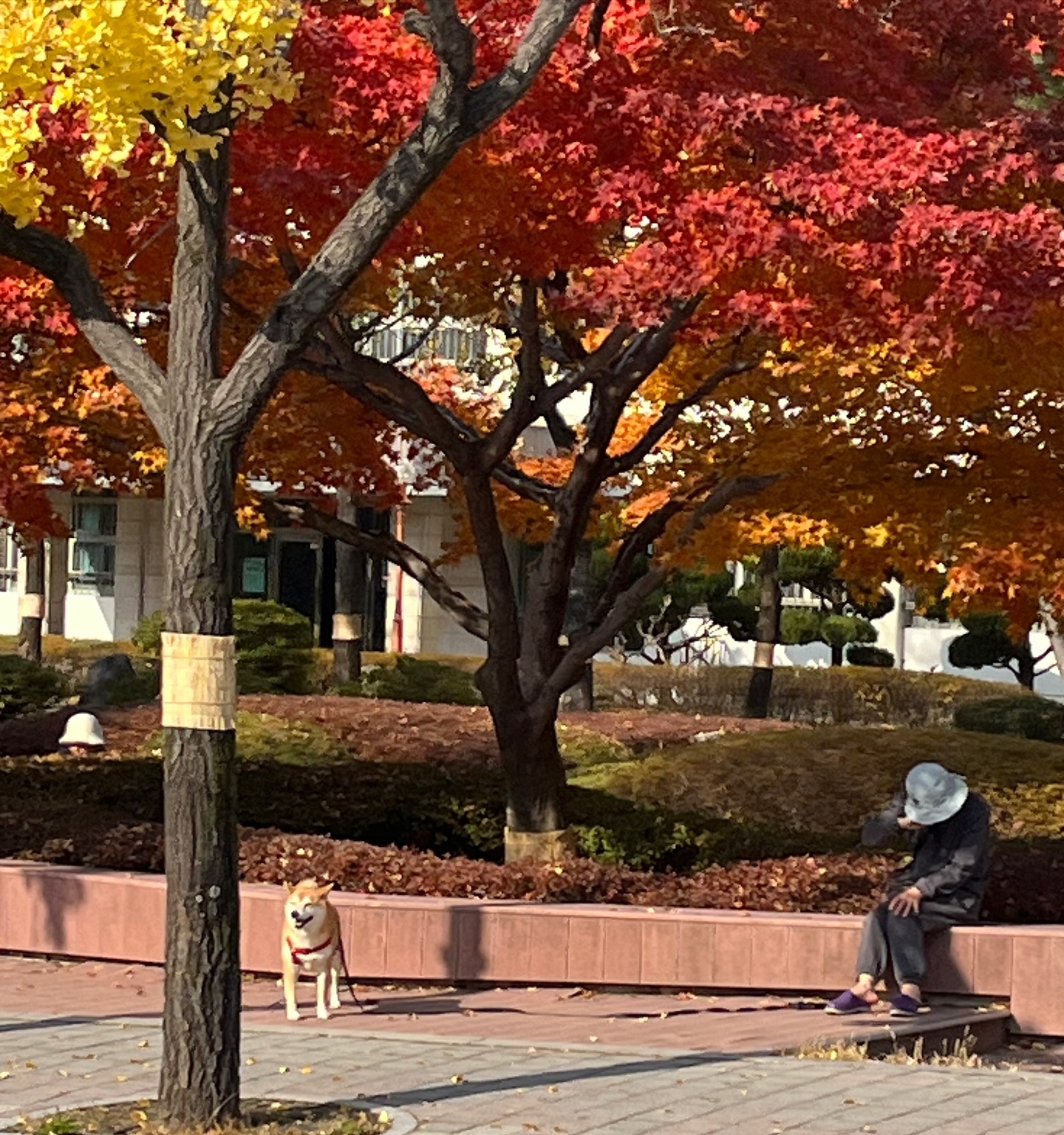 오늘 날씨 가을 그 자체🍁🍂
내일 부터 또 추워진다니 다들 감기조심!!