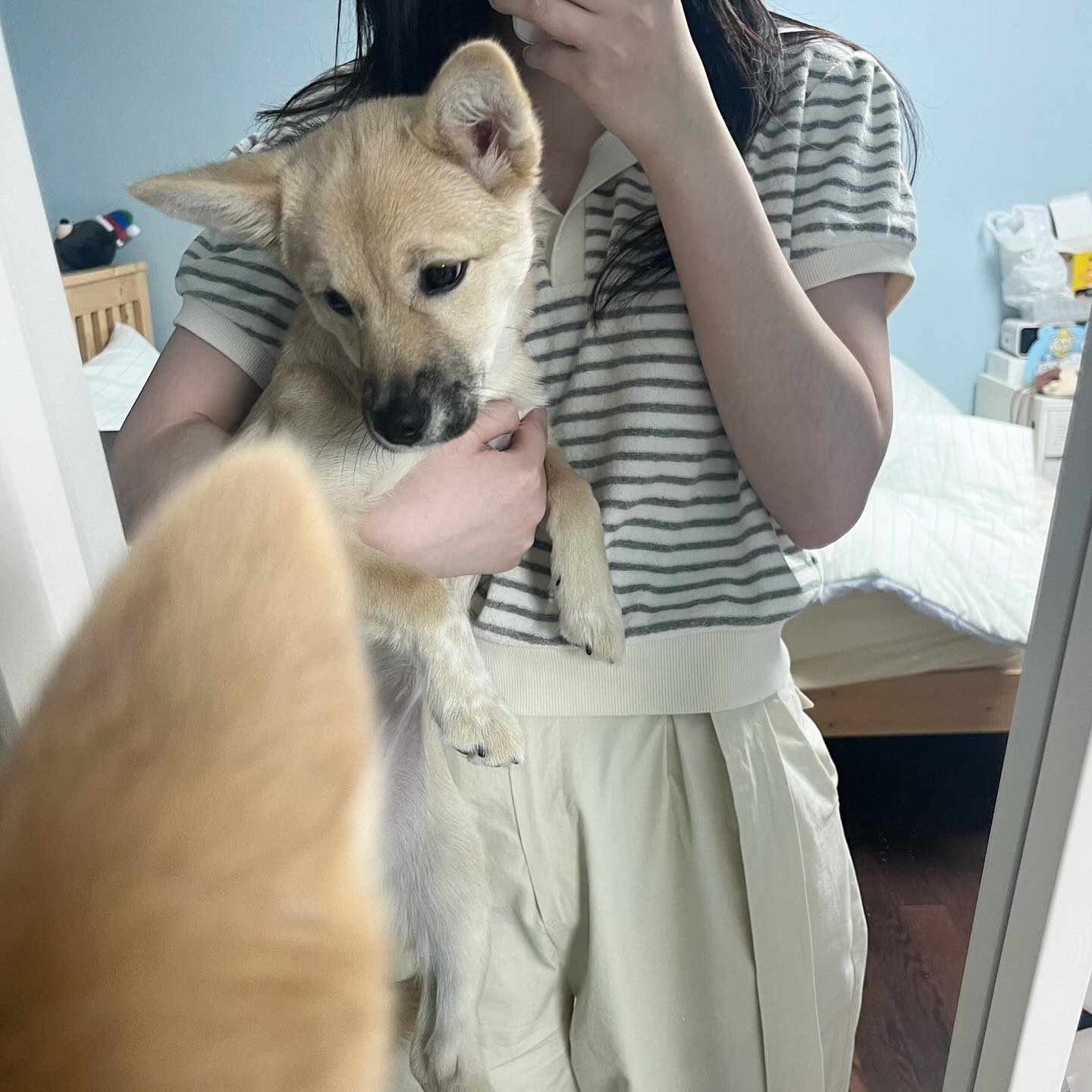 무거운 강아지 🐕