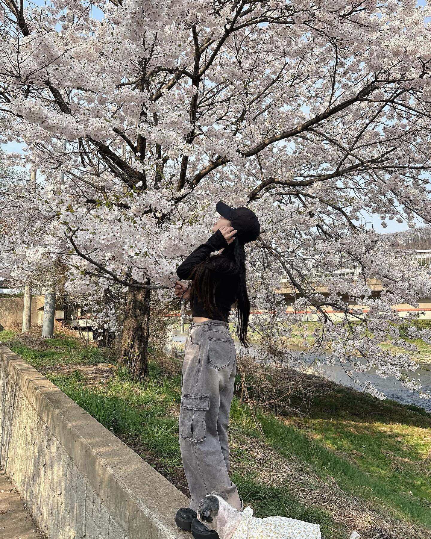 문구를 입력하세요…🌸

#안양 #봄 #벚꽃구경 #벚꽃놀이 #벚꽃길 #벚꽃엔딩 #좋아요