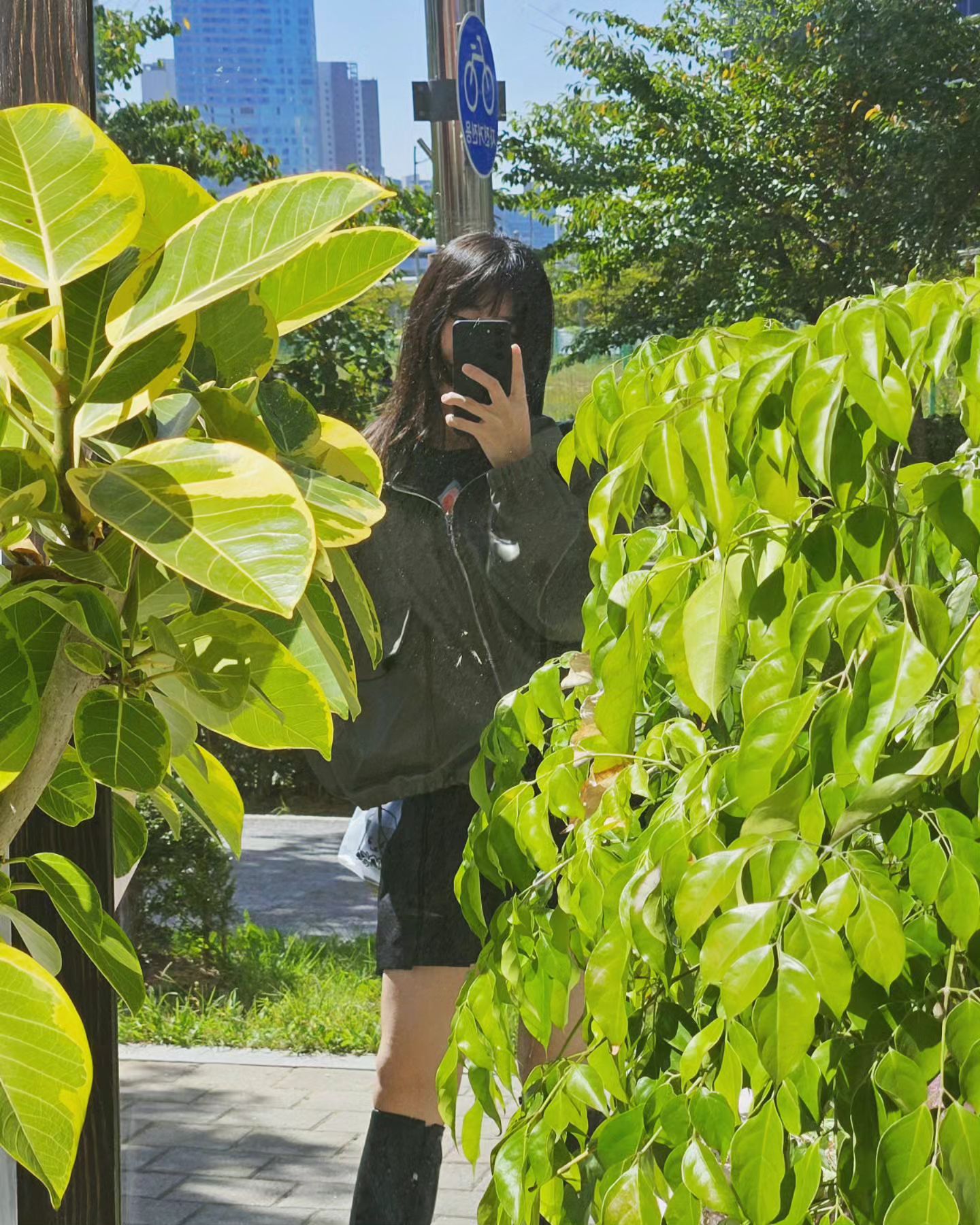 록초록초녹초록초
