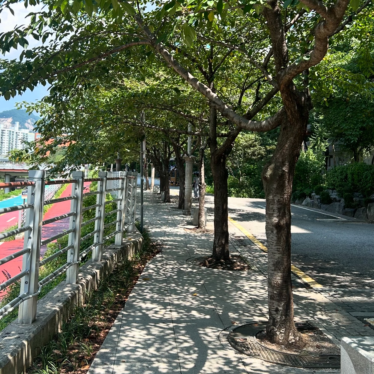프리랜서로 일하면서 제법 라이프 루틴이 잡혀가는 요즘,
결혼 준비와 사무실에 대한 고민으로 정신없지만
나름대로 새로운 시도도 하고 걱정반 설렘반으로 과도기를 보내는 중이에요👀++탄이와 같이 일할 수 있는 방법도🤔

시간이 지날 수록 느끼는 건 결국 남는 건 사람뿐이라는 거🔥
잠시나마 프리랜서로 얻은 시간적 자유는 이제 포기하고, 남은 하반기는 같이 일할 사람들을 모으고 공부하는 데에 열심히 써볼 예정입니당🤔
