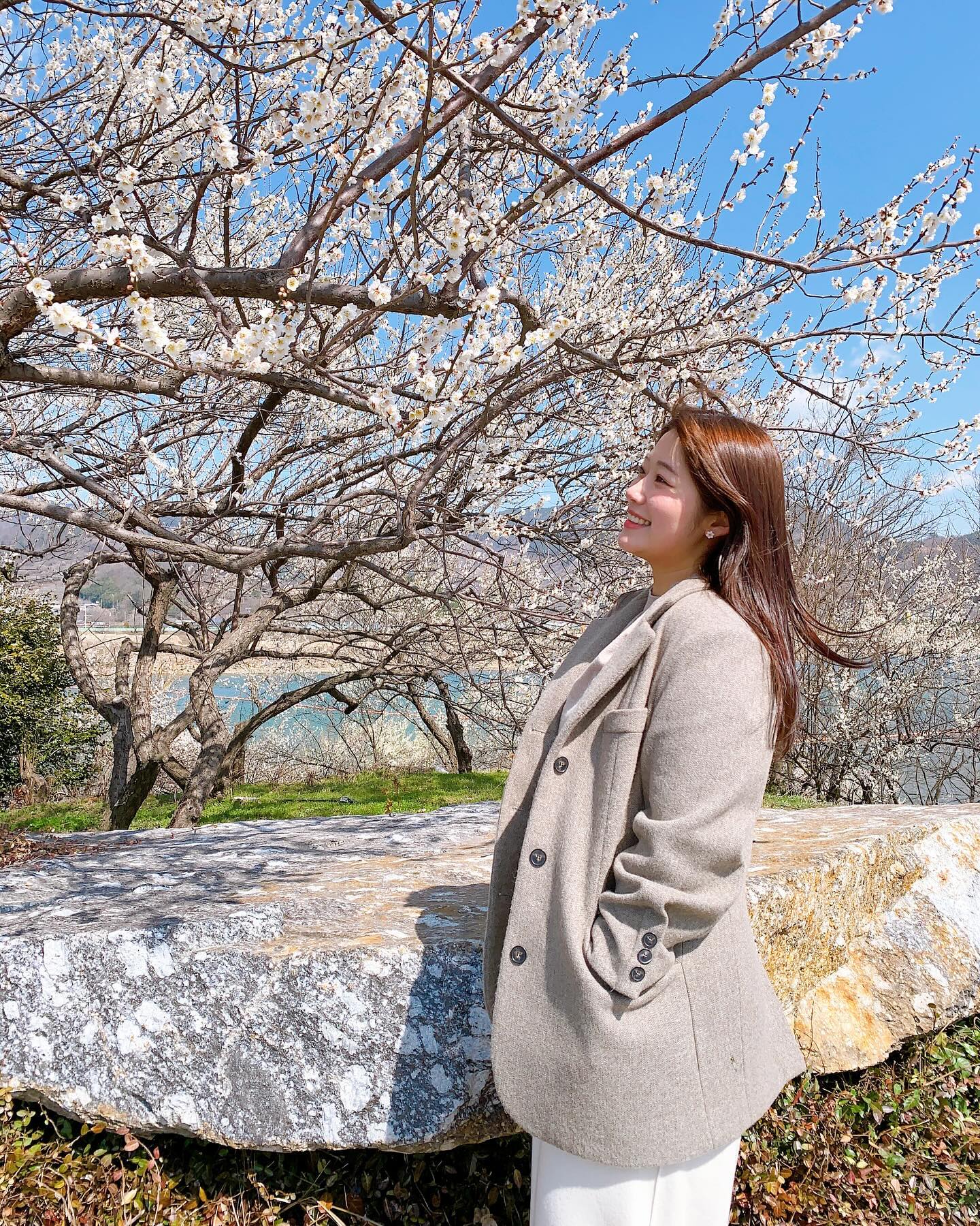봄이 오는 중이다 ~ 🌸

#광양매화마을 #양산매화축제못감