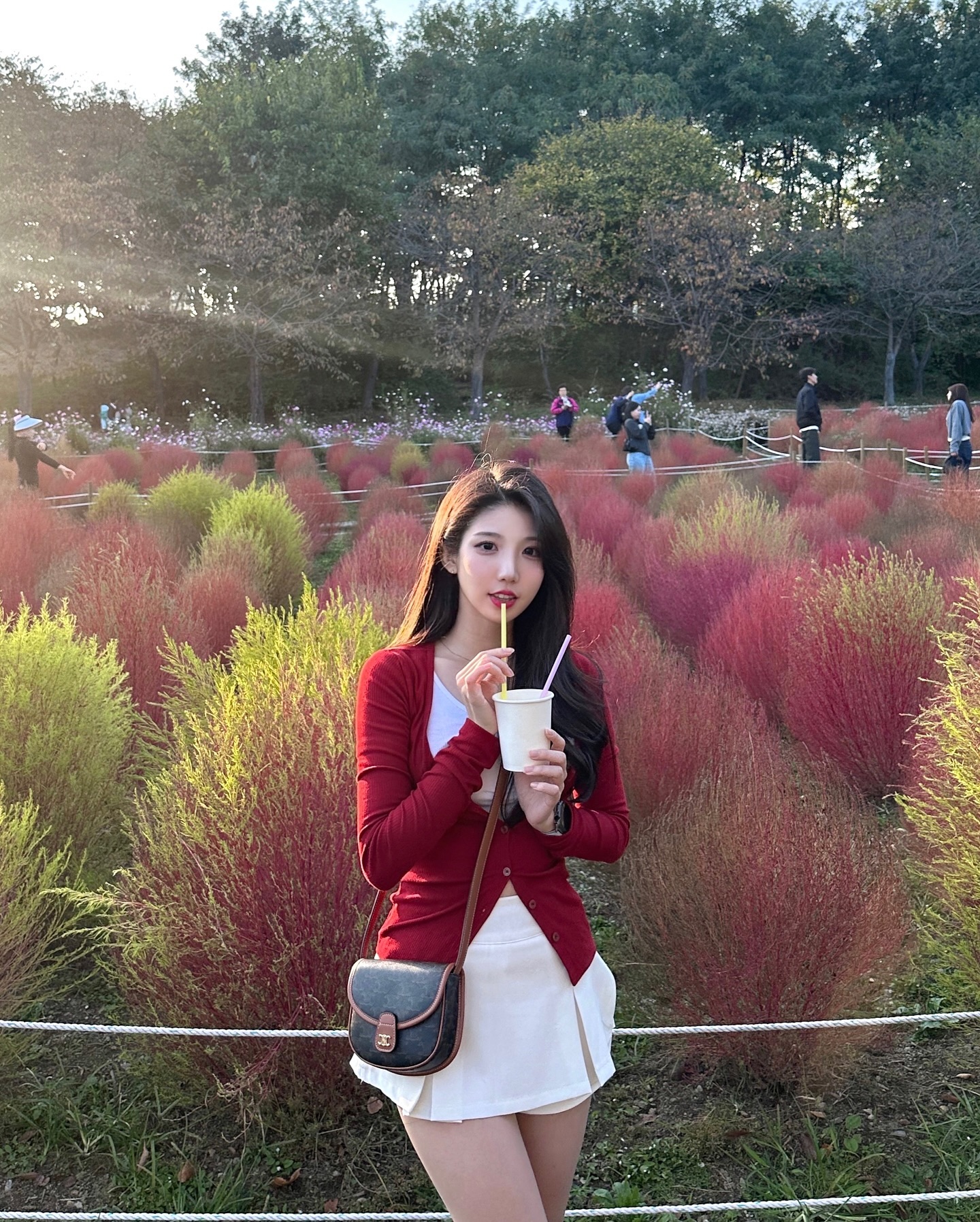 이 계절은 어쩜 이렇게 예쁠까 ! 다 물들어주세요 ⸝⸝ ᷇࿀ ᷆⸝⸝