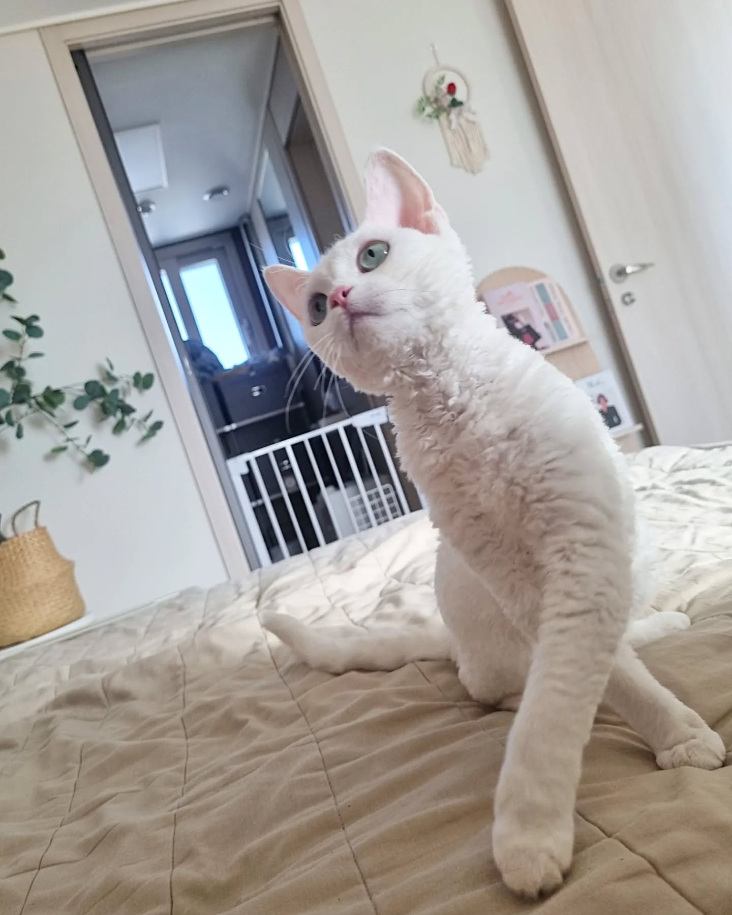 ㅇㅐ뚤아, ㄴr 어떤데?

1. 나는 요염하고
2. 나는 섹시하고
3. 나는 다채롭고
4. 나는 귀여운 돼지다