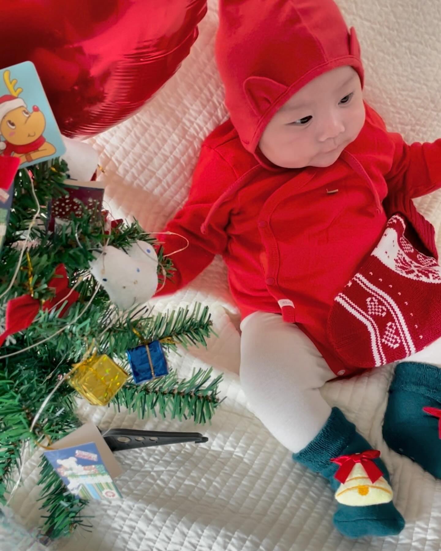 ✿ 𝐃+𝟗𝟕

오늘 선물 배달 가랴규 했능데 루돌프라이더가 안잡히네 이거이거🎅🏻🦌🎁🎄