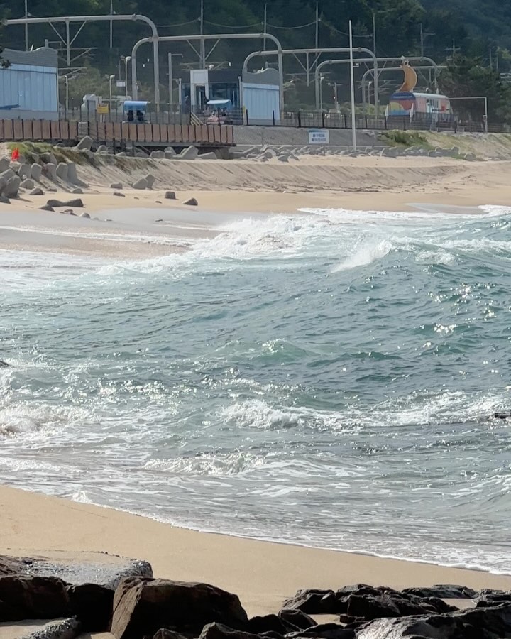 드디어 강원도에 오다 🌊✨